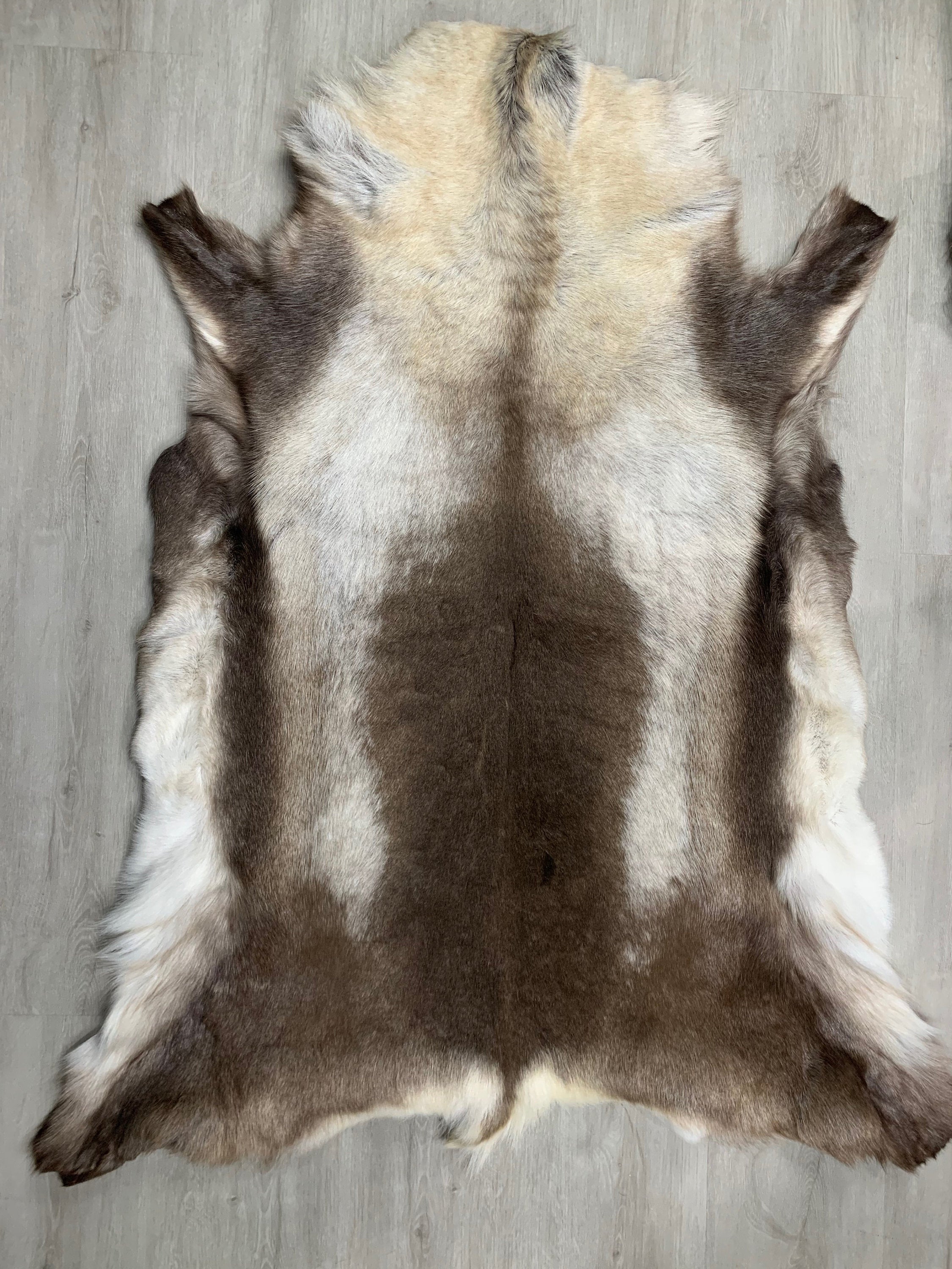 XXL Genuine Scandinavian Reindeer Hide * Decorative reindeer skin rug hide pelt throw * Genuine reindeer pelt