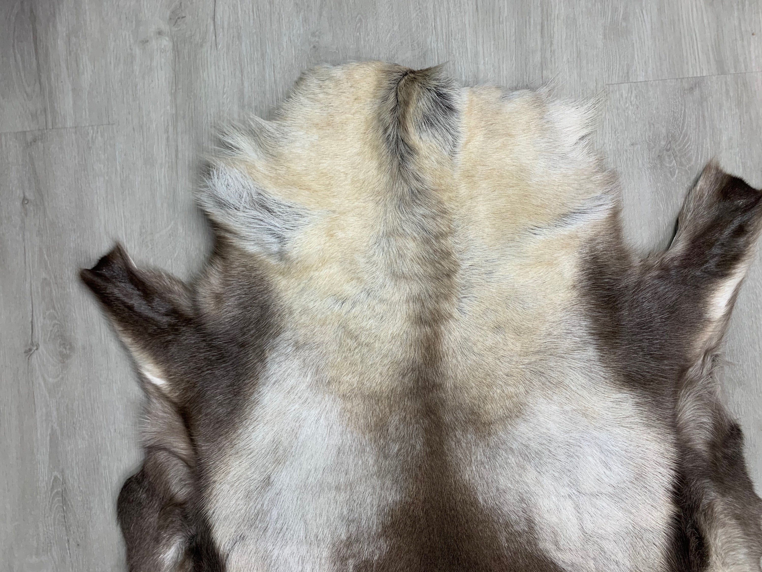 XXL Genuine Scandinavian Reindeer Hide * Decorative reindeer skin rug hide pelt throw * Genuine reindeer pelt