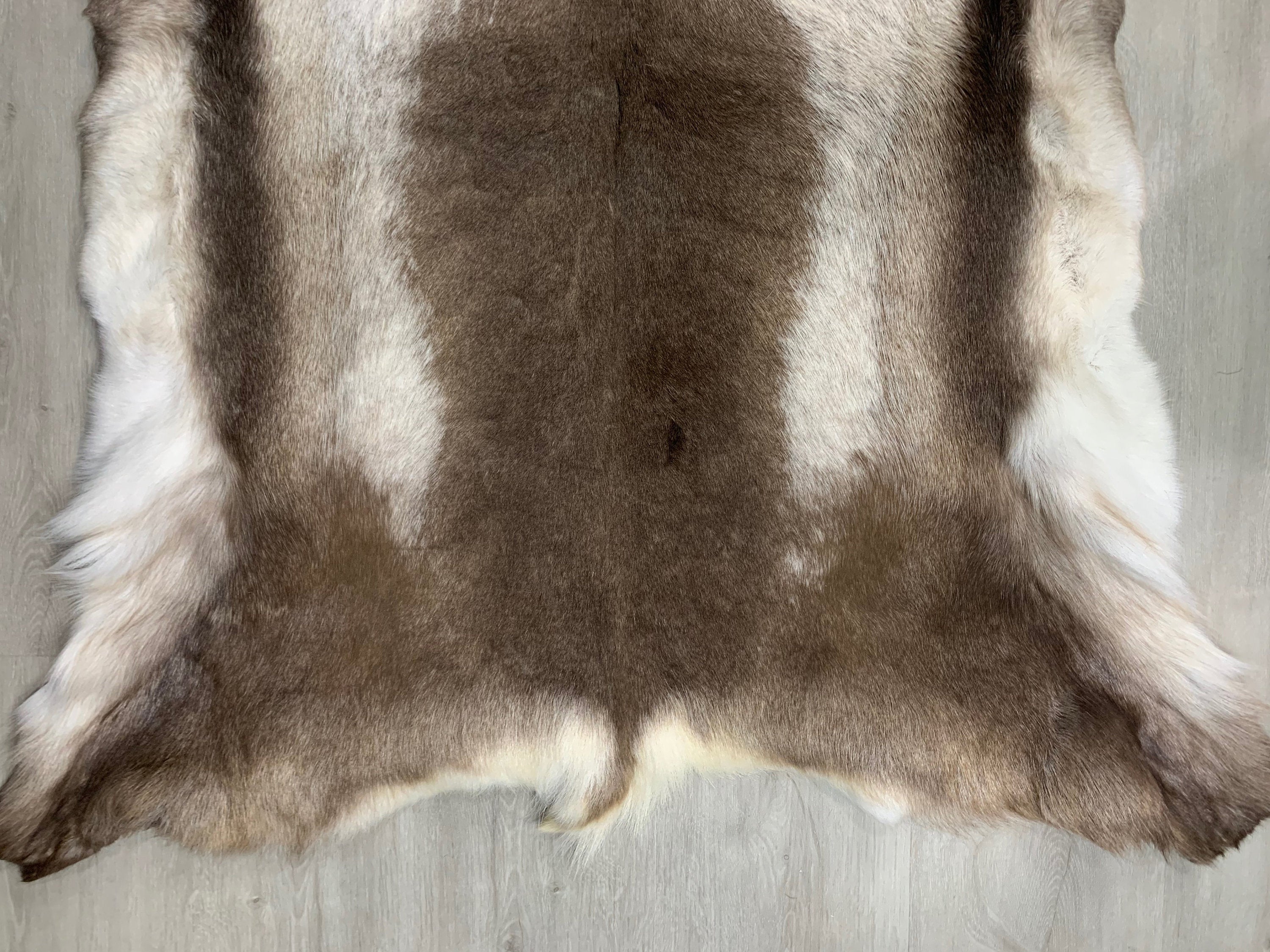 XXL Genuine Scandinavian Reindeer Hide * Decorative reindeer skin rug hide pelt throw * Genuine reindeer pelt