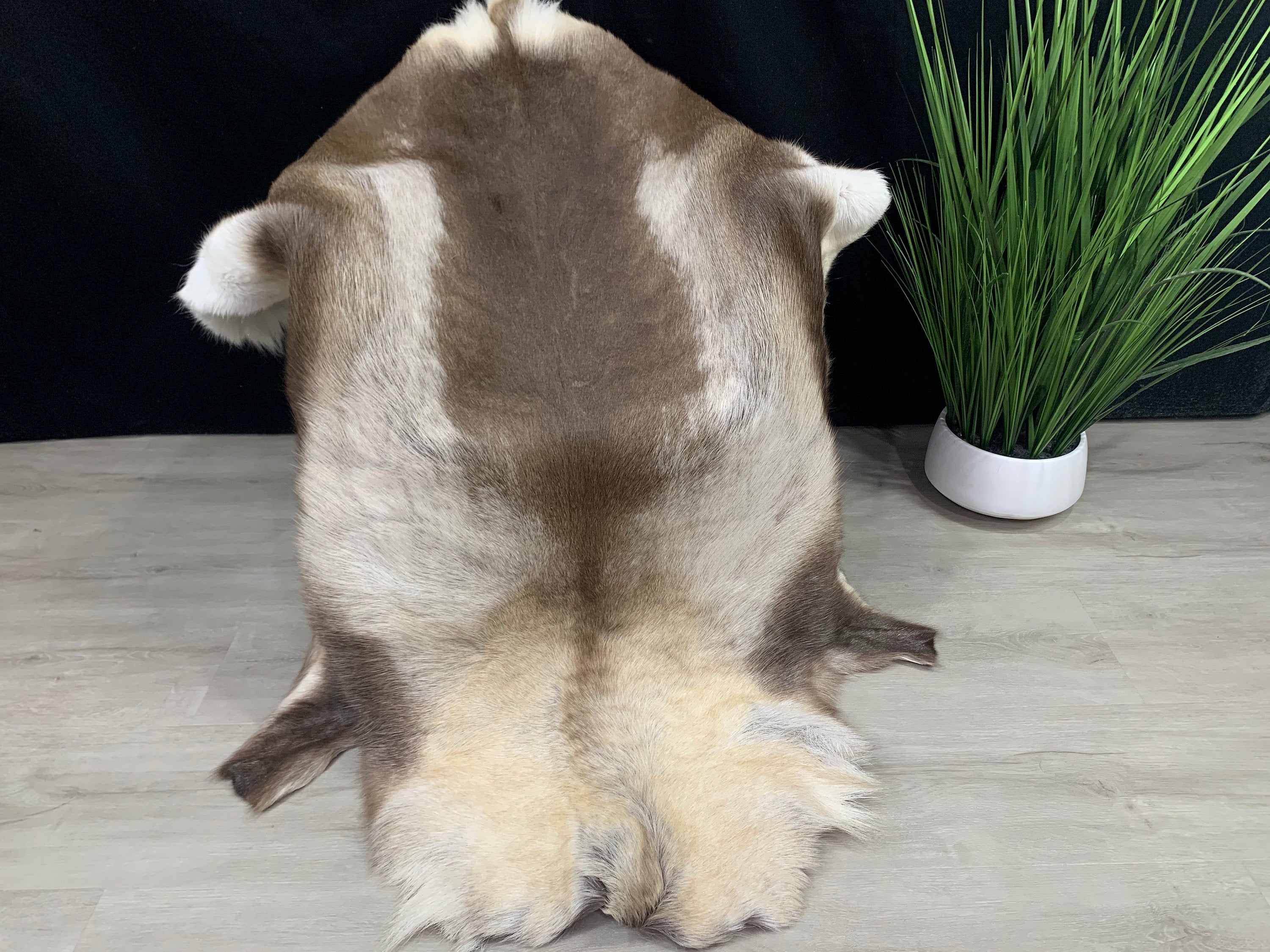 XXL Genuine Scandinavian Reindeer Hide * Decorative reindeer skin rug hide pelt throw * Genuine reindeer pelt