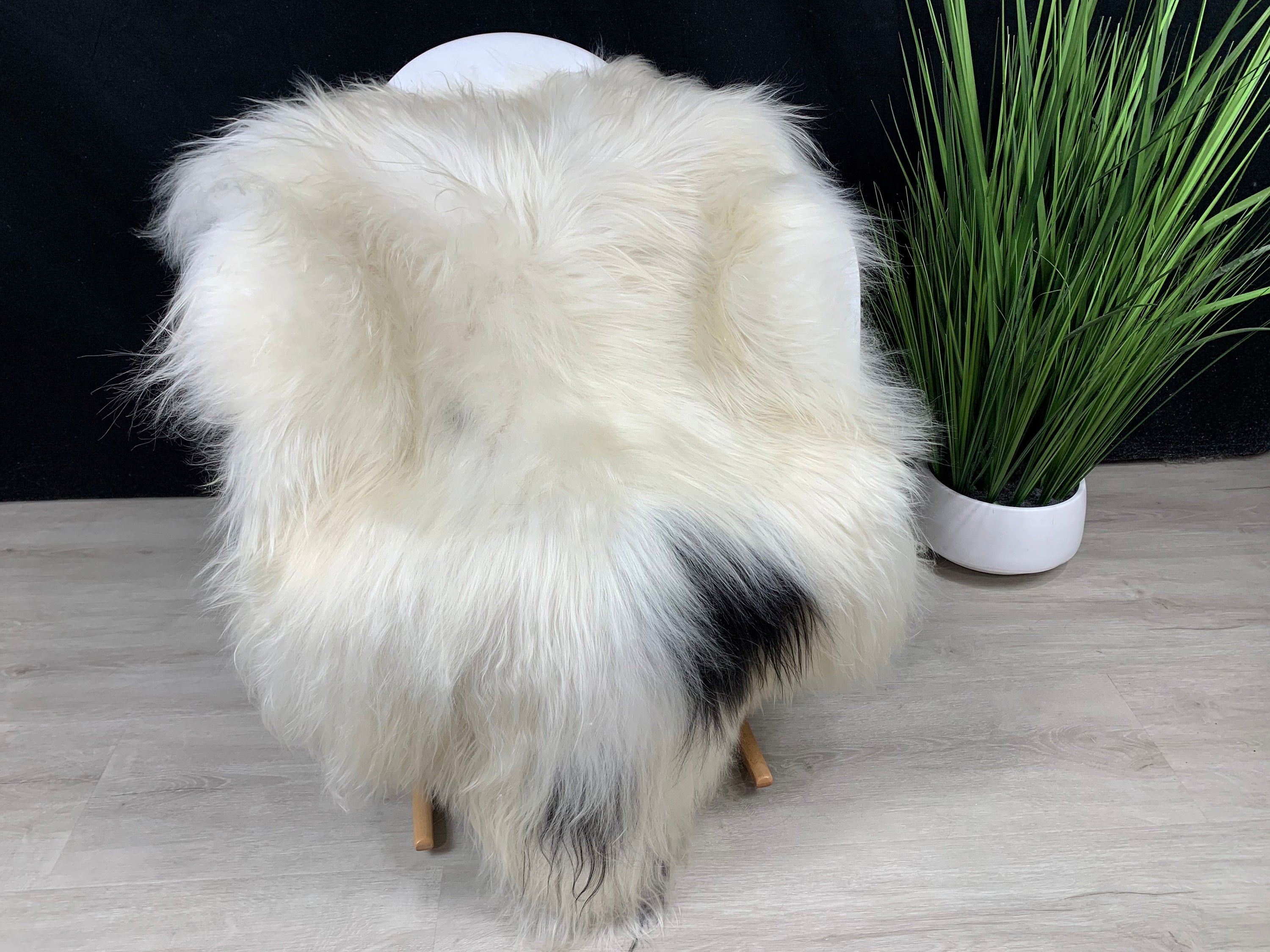 Sheepskin / Icelandic White Black Sheepskin Rug / Genuine Sheepskin Pelt / Sheepskin Seat Cover / Sheepskin Pet Bed Throw