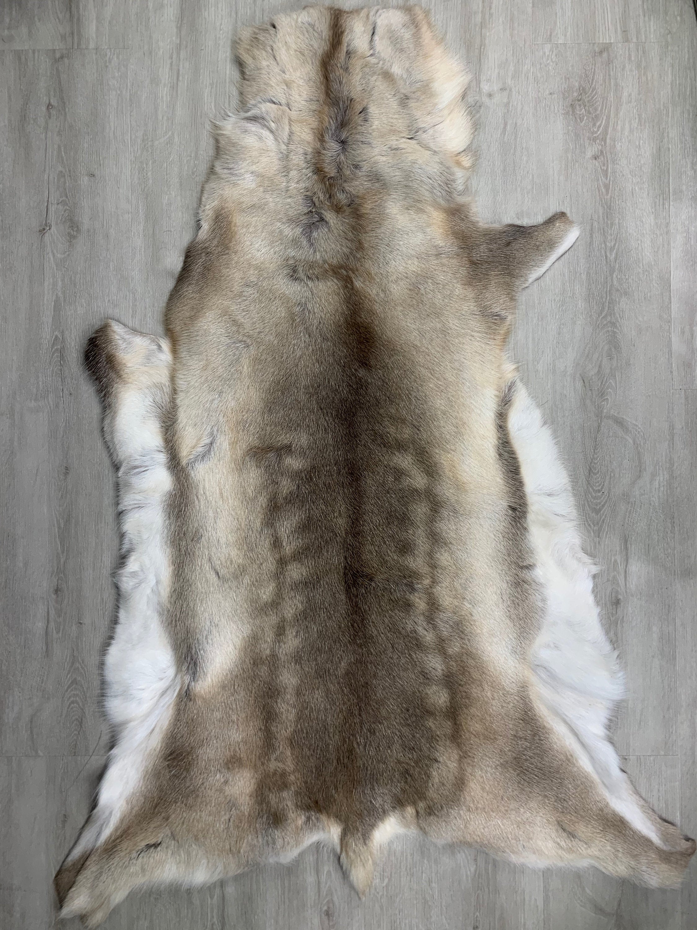 25% Cheaper Genuine Scandinavian Reindeer Hide May Have Marks