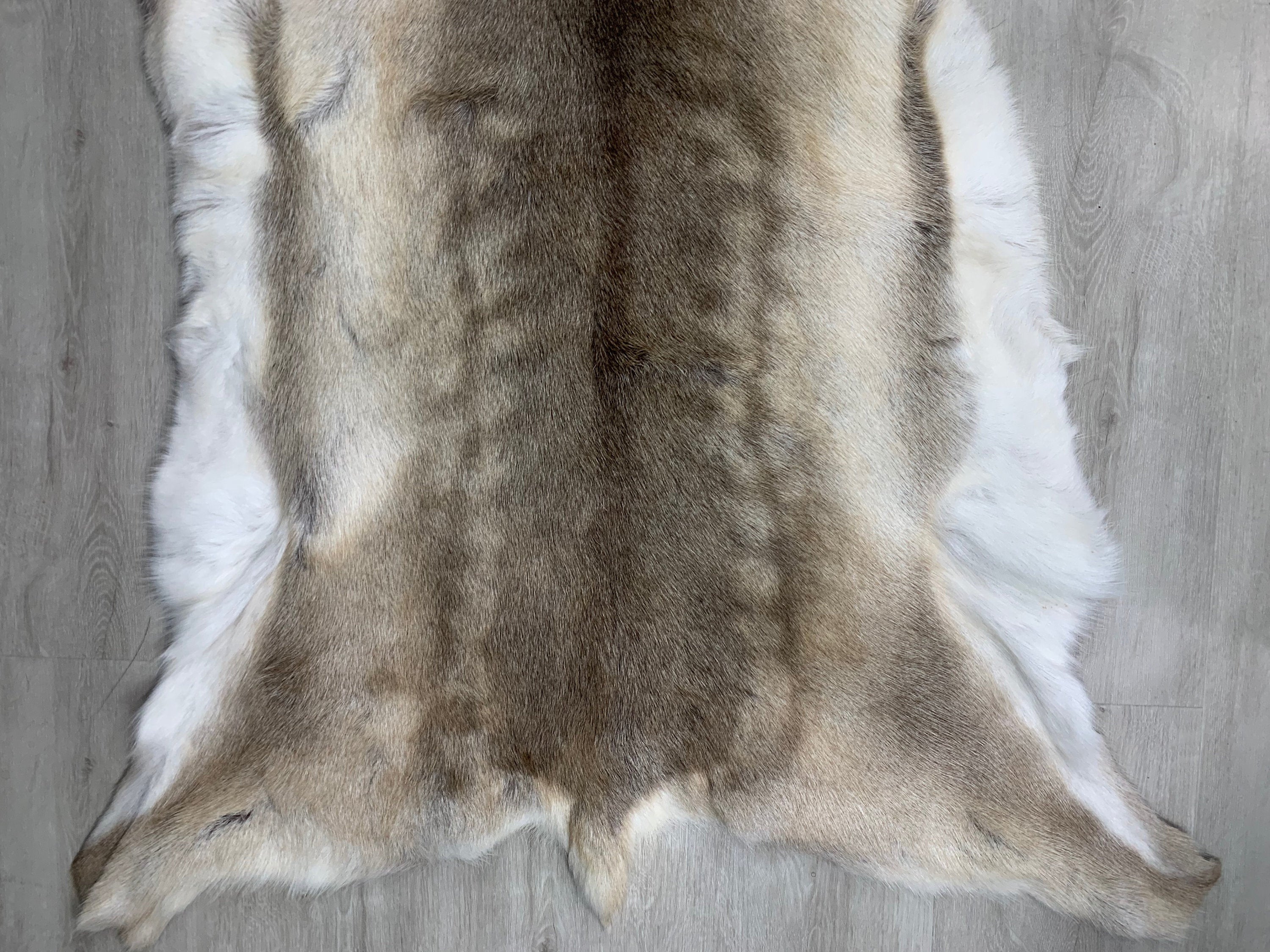 25% Cheaper Genuine Scandinavian Reindeer Hide May Have Marks