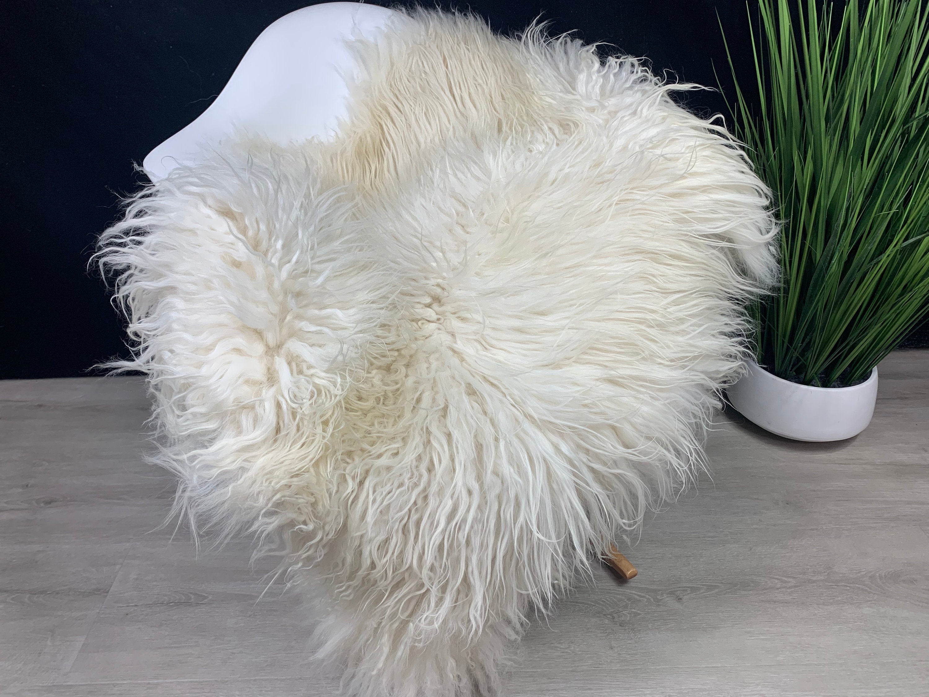 Curly White Iceland Sheepskin Rug * Genuine Sheepskin Rug Fur Throw * Natural Animal Hide Pelt * Sheepskin Seat Cover * Comfort Pet Bed