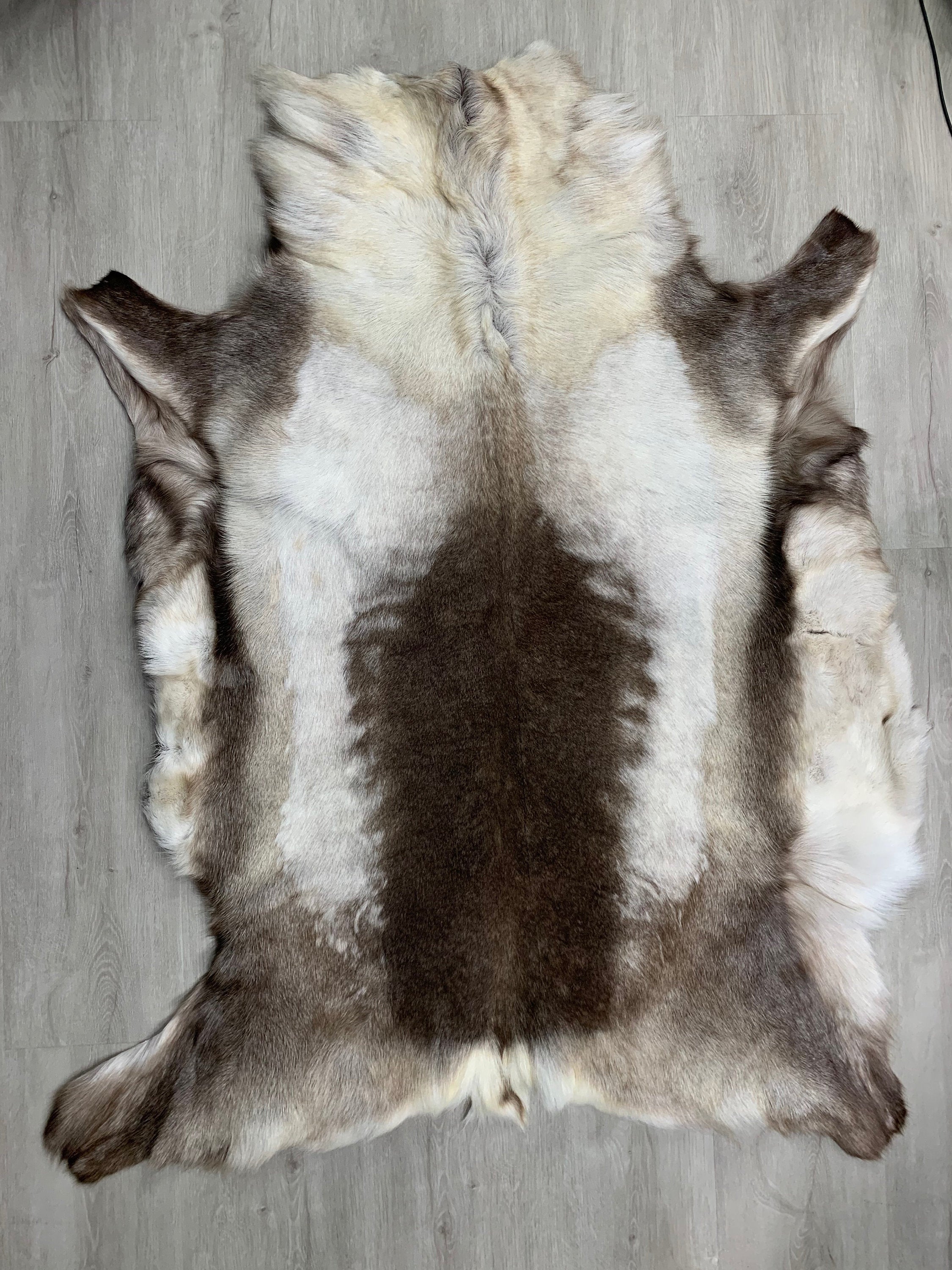 XXL GENUINE Scandinavian Reindeer Hide * Exclusive Reindeer skin rug hide pelt throw 56