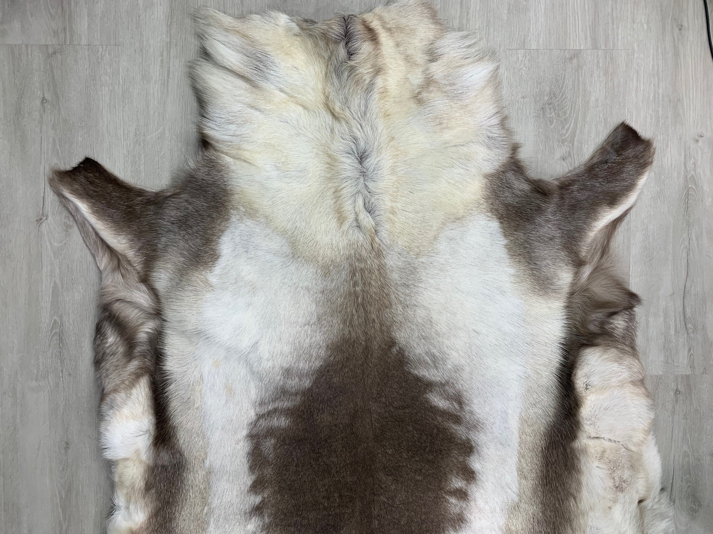 XXL GENUINE Scandinavian Reindeer Hide * Exclusive Reindeer skin rug hide pelt throw 56