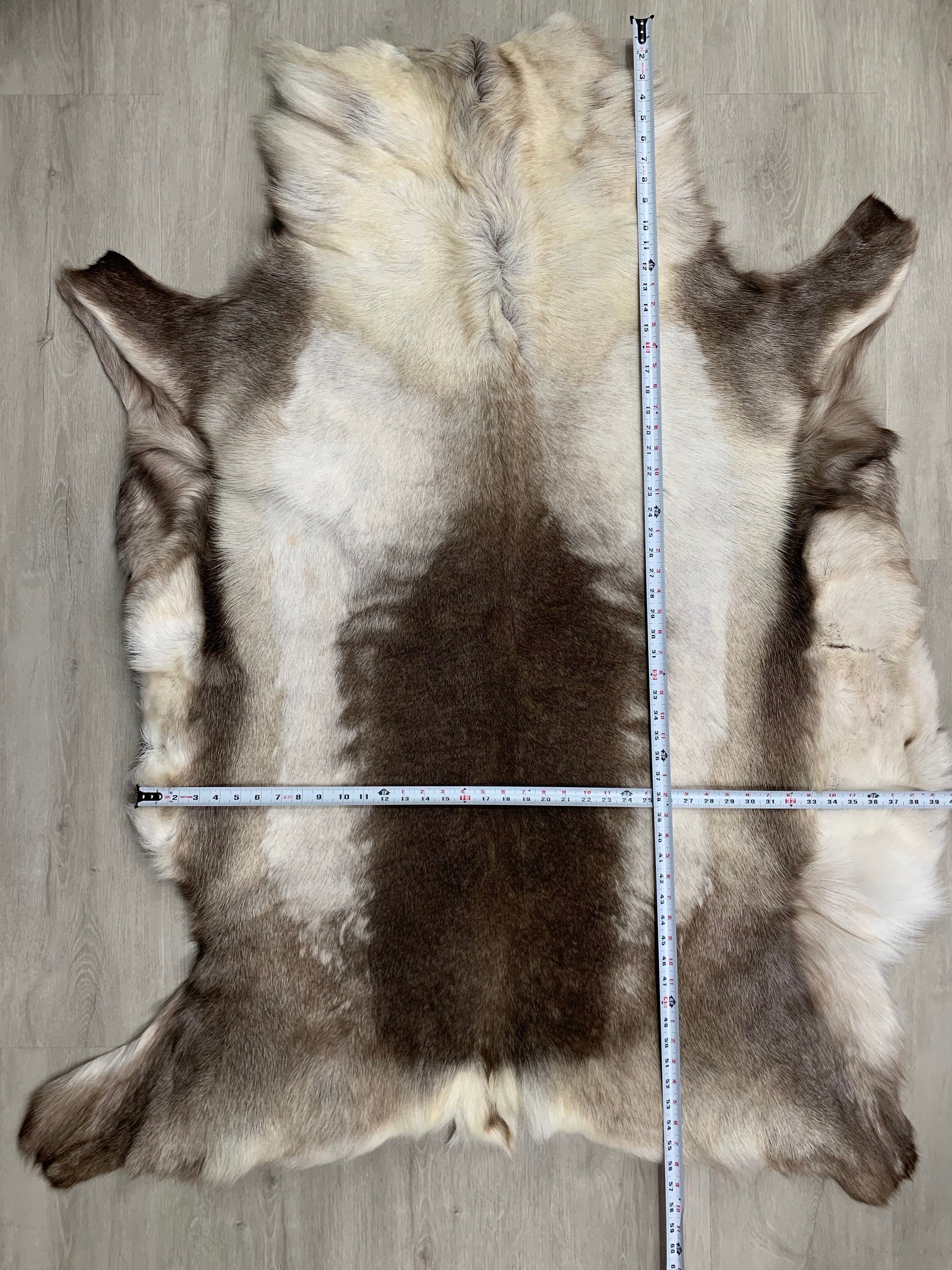 XXL GENUINE Scandinavian Reindeer Hide * Exclusive Reindeer skin rug hide pelt throw 56