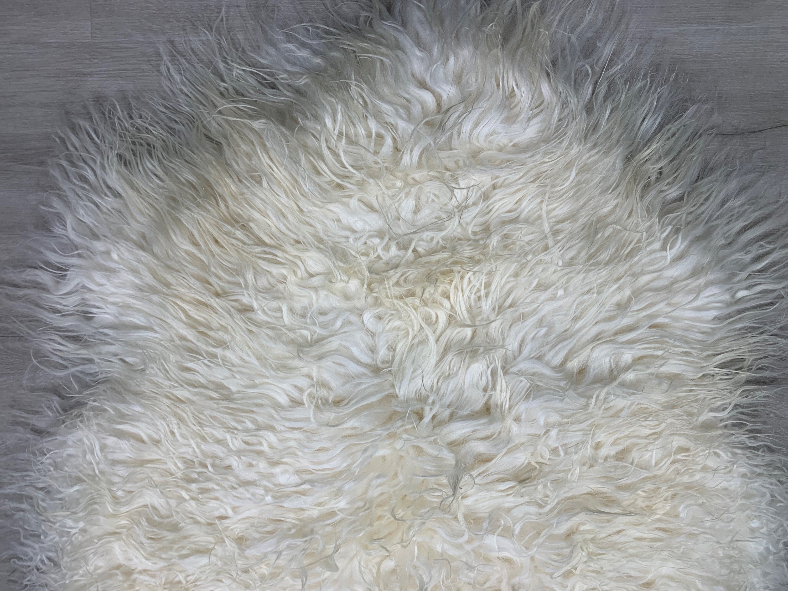 Curly Sheepskin Creamy White Rug Pelt / Genuine Real Icelandic Sheepskin White Cream / Sheepskin Seat Cover Dog Pet Bed Throw