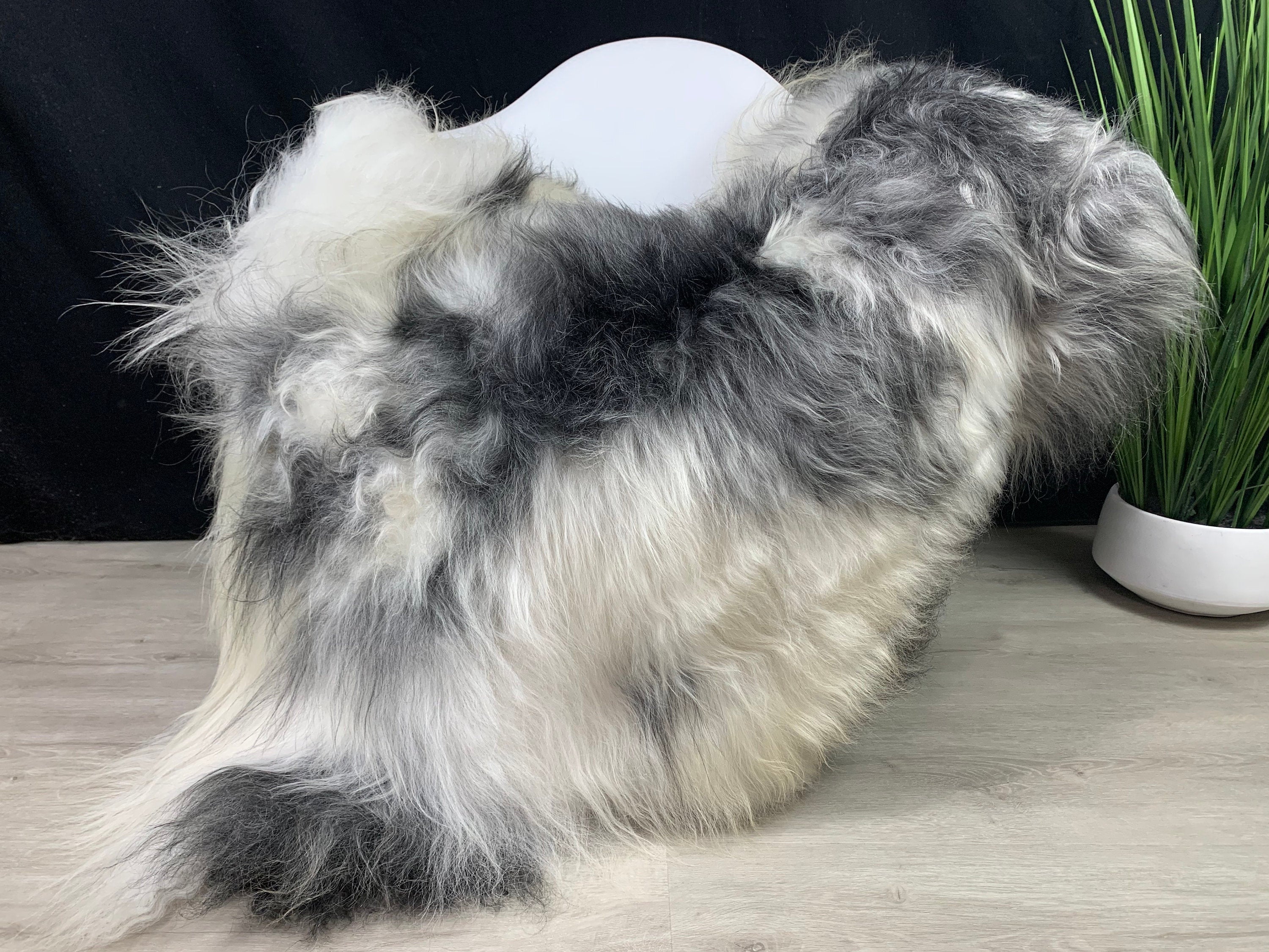 Huge Icelandic genuine sheepskin rug pelt Cream white gray color sheepskin pelt Sheep skin fur Pet Bed throw seat cover