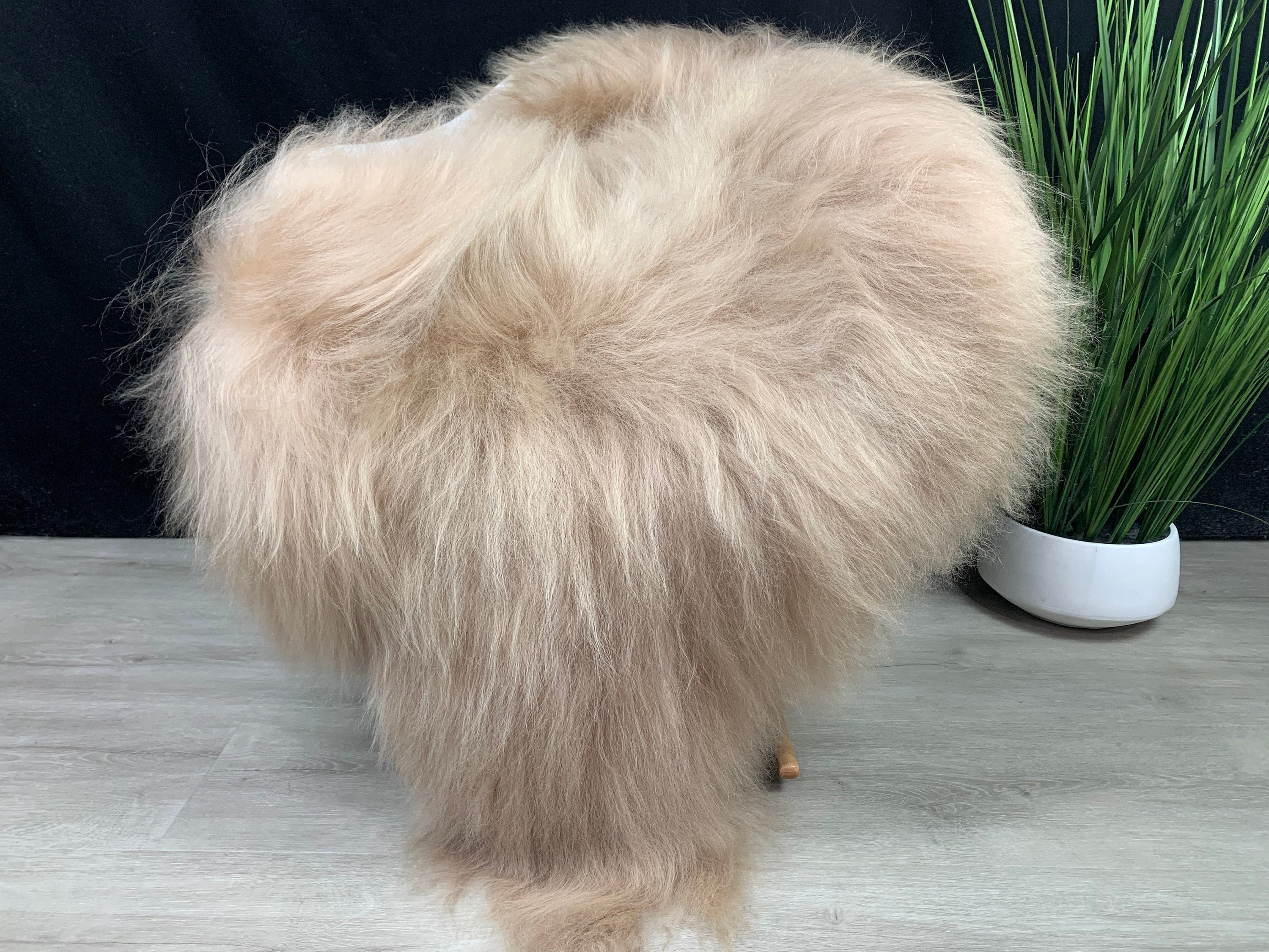 XXL Genuine Beige Sheepskin Rug Seat Cover Pet Bed Throw