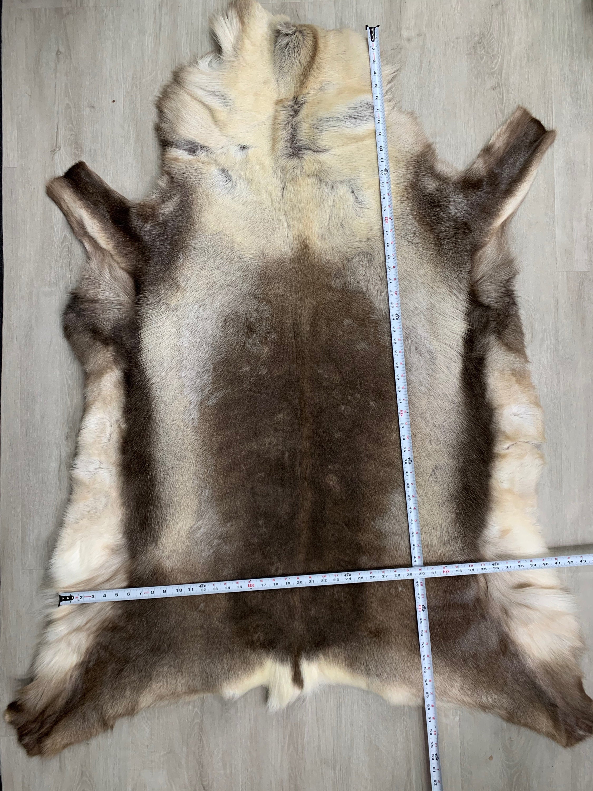 XXL GENUINE Scandinavian Reindeer Hide * Exclusive Reindeer skin rug hide pelt throw 56