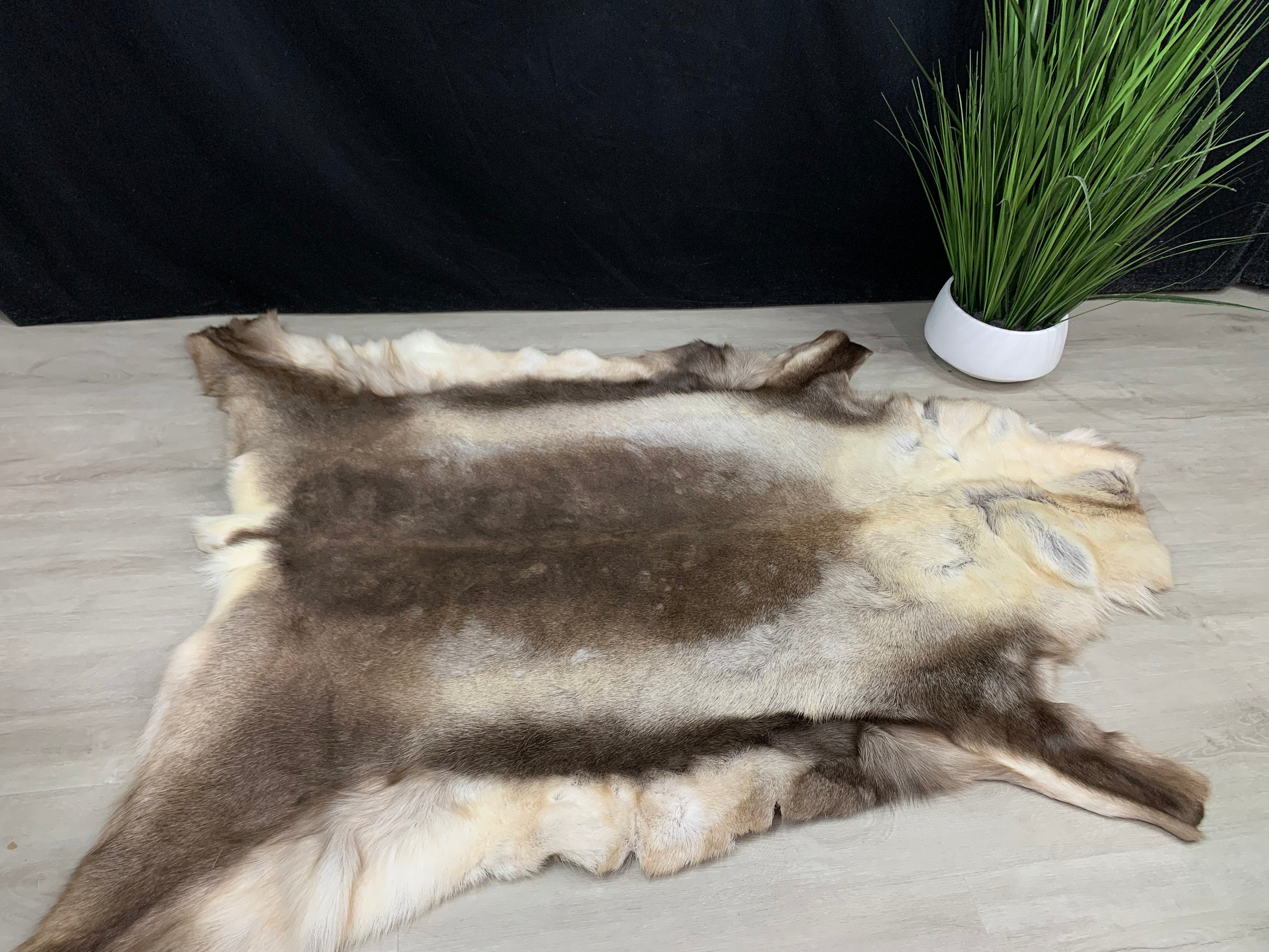 XXL GENUINE Scandinavian Reindeer Hide * Exclusive Reindeer skin rug hide pelt throw 56