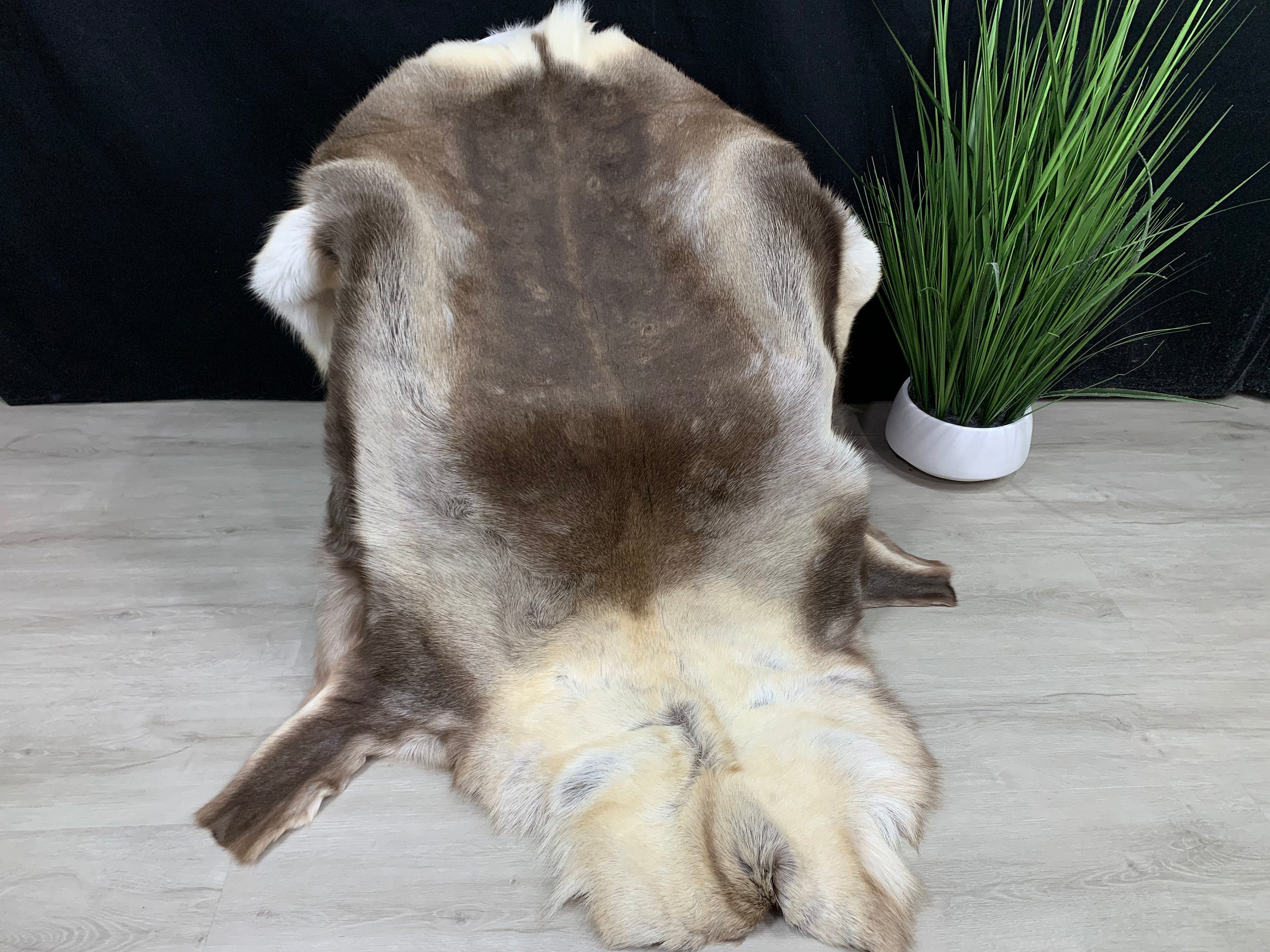 XXL GENUINE Scandinavian Reindeer Hide * Exclusive Reindeer skin rug hide pelt throw 56