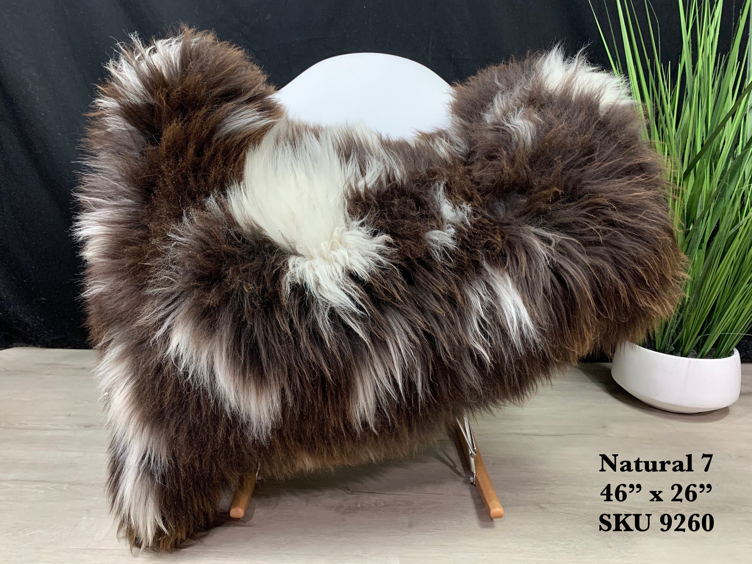 Sheepskin Rug / Genuine Sheepskin / Beautiful Natural Sheepskin Pelt Colors / Sheepskin Seat Cover / Real Sheepskin Pelt / Sheep skin Throw