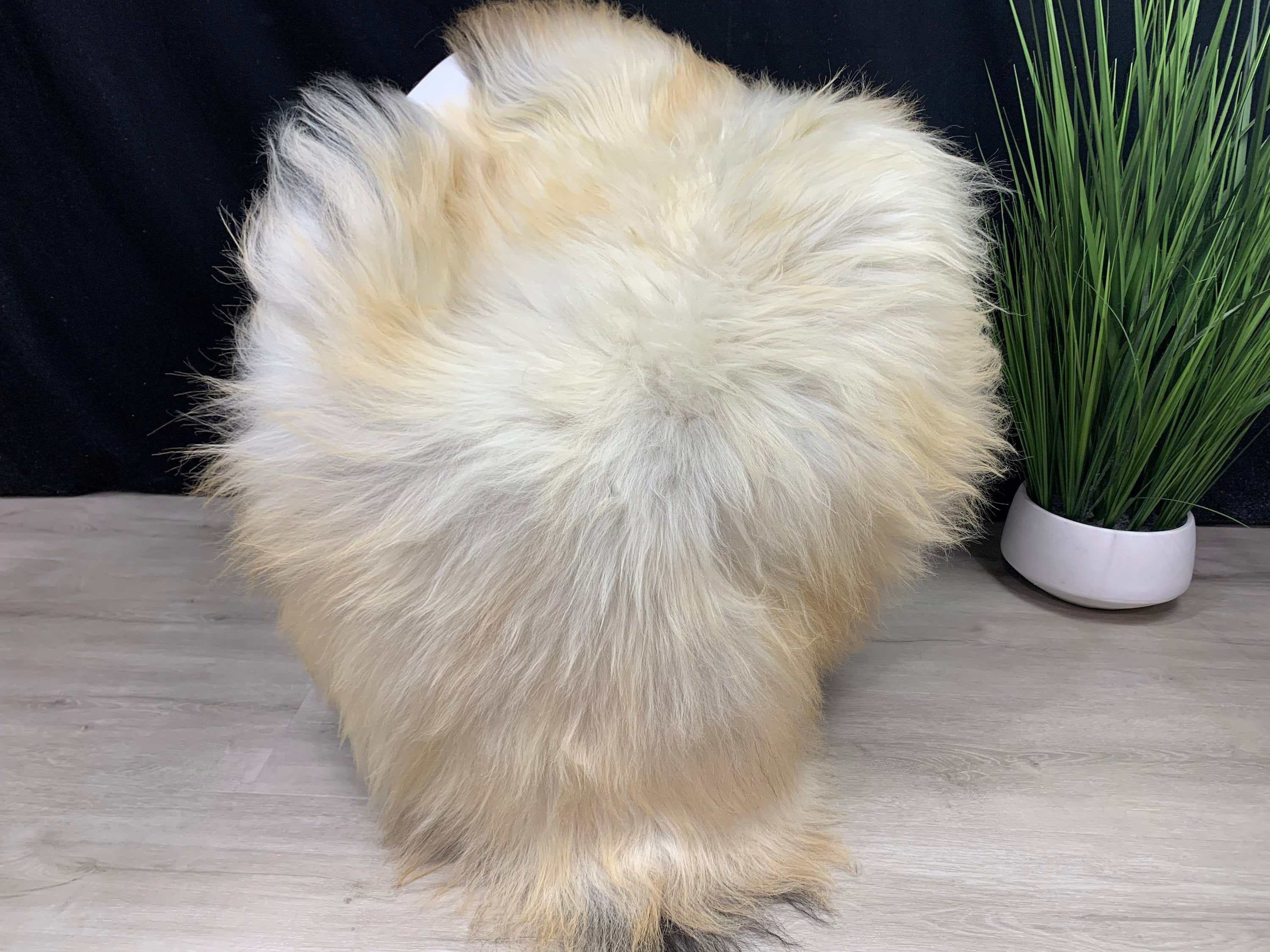 Huge Icelandic Genuine Sheepskin rug fur pelt Beautiful White Copper Natural Seat Cover Pet Bed Throw