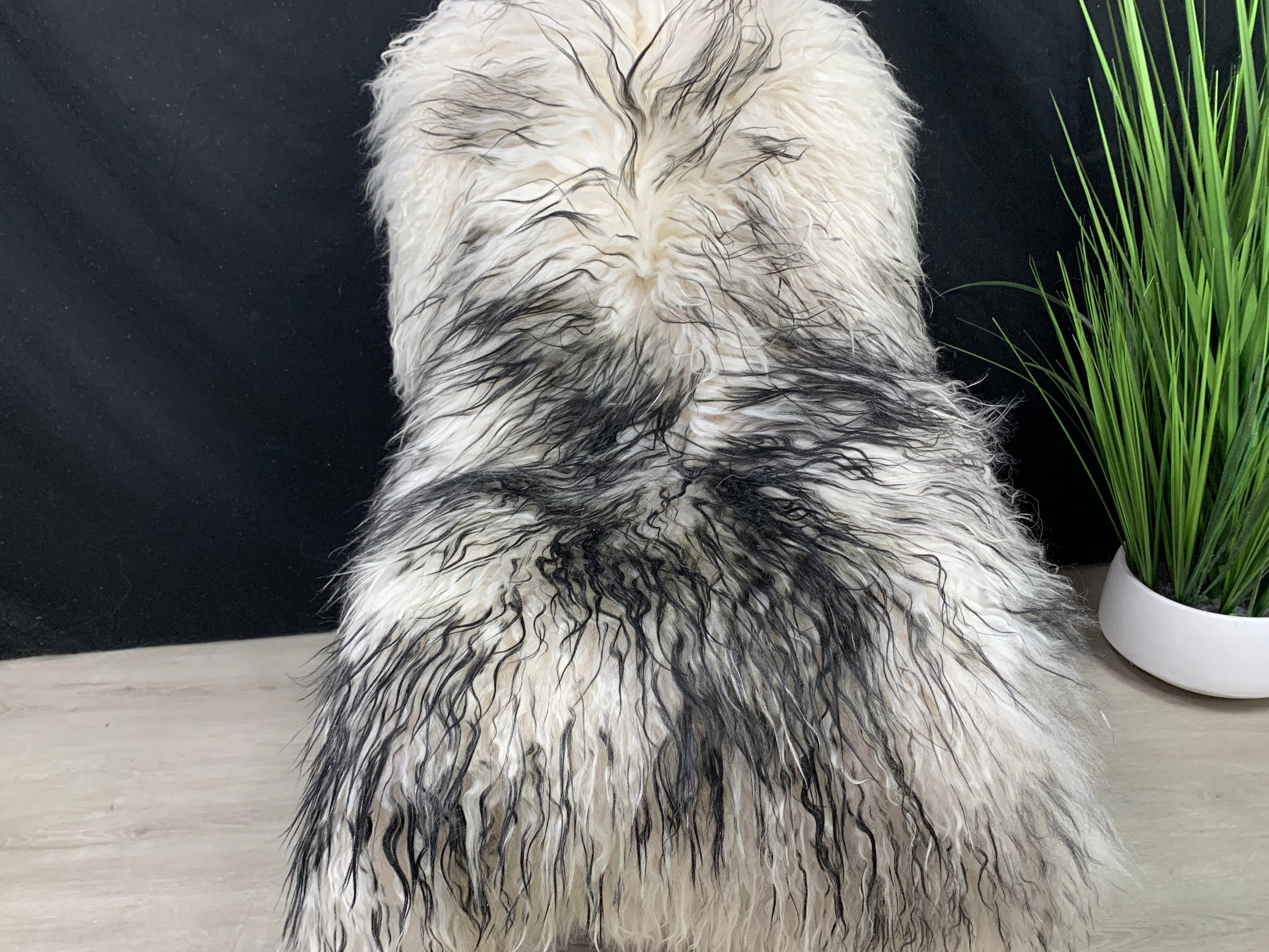 Tanning Black Iceland Sheepskin Rug Mouflon * Genuine Sheepskin Rug Fur Throw * Natural  Hide Pelt * Sheepskin Seat Cover * Pet Cat Dog Bed