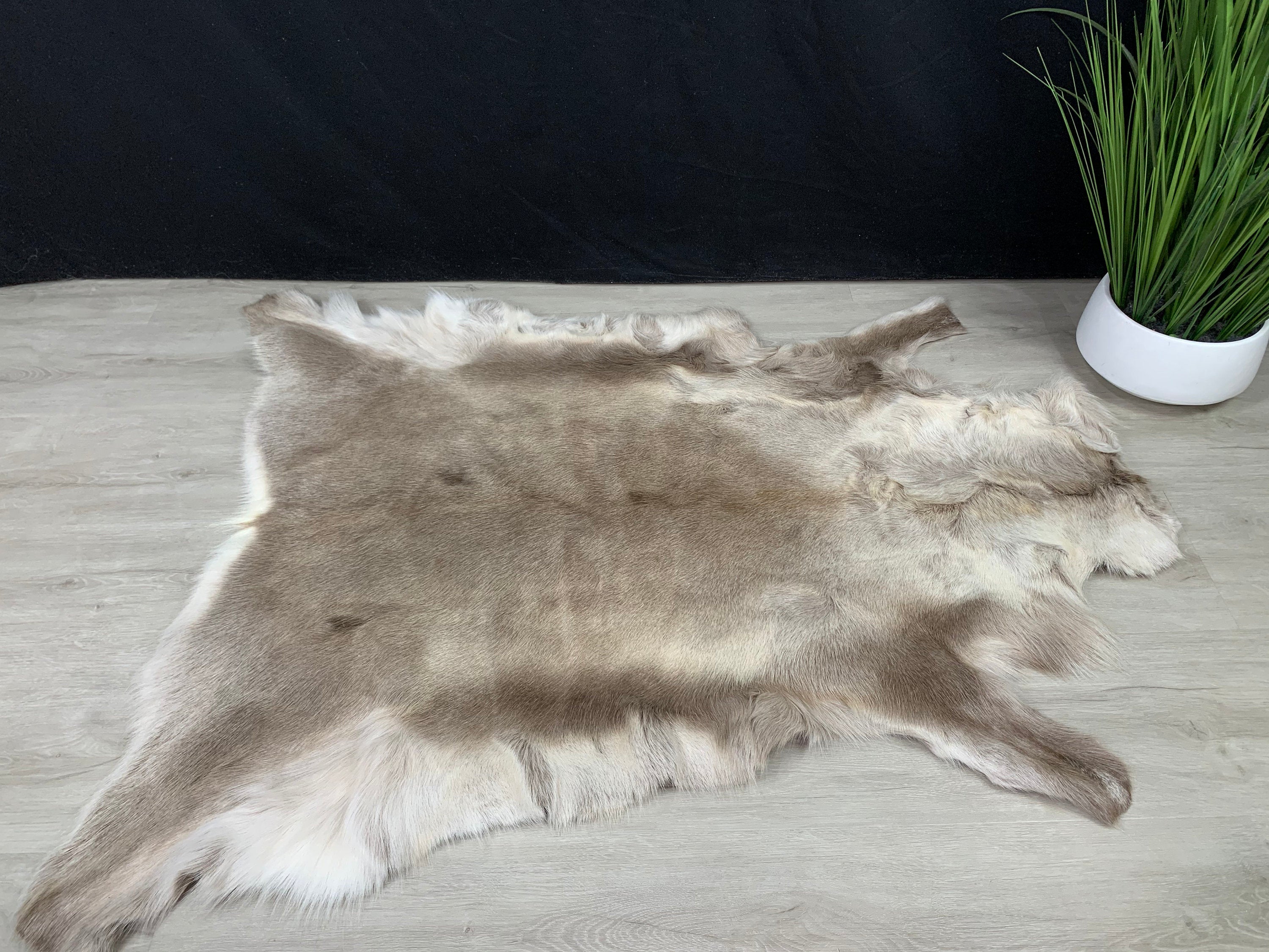 Genuine Scandinavian Reindeer Hide