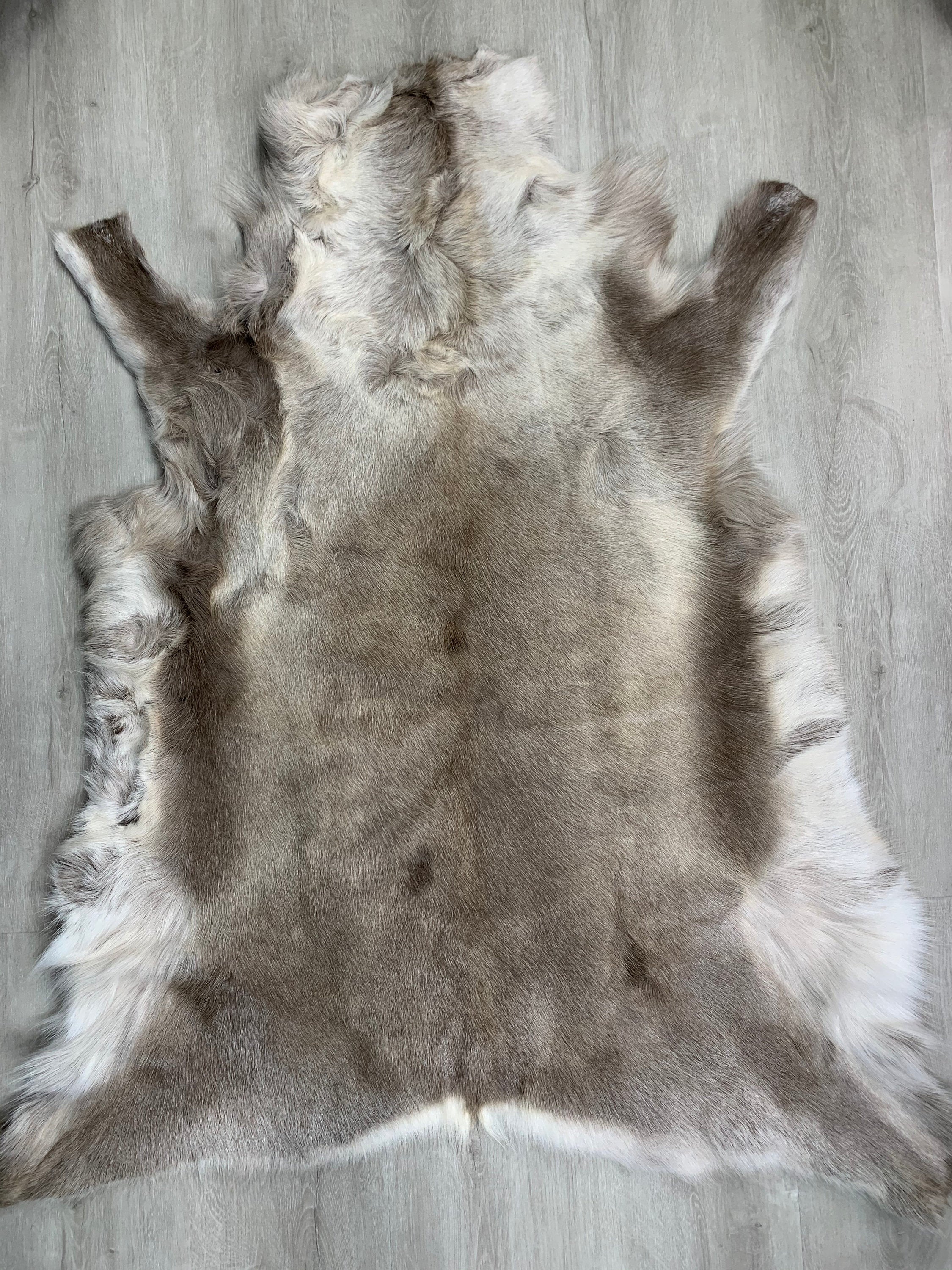 Genuine Scandinavian Reindeer Hide