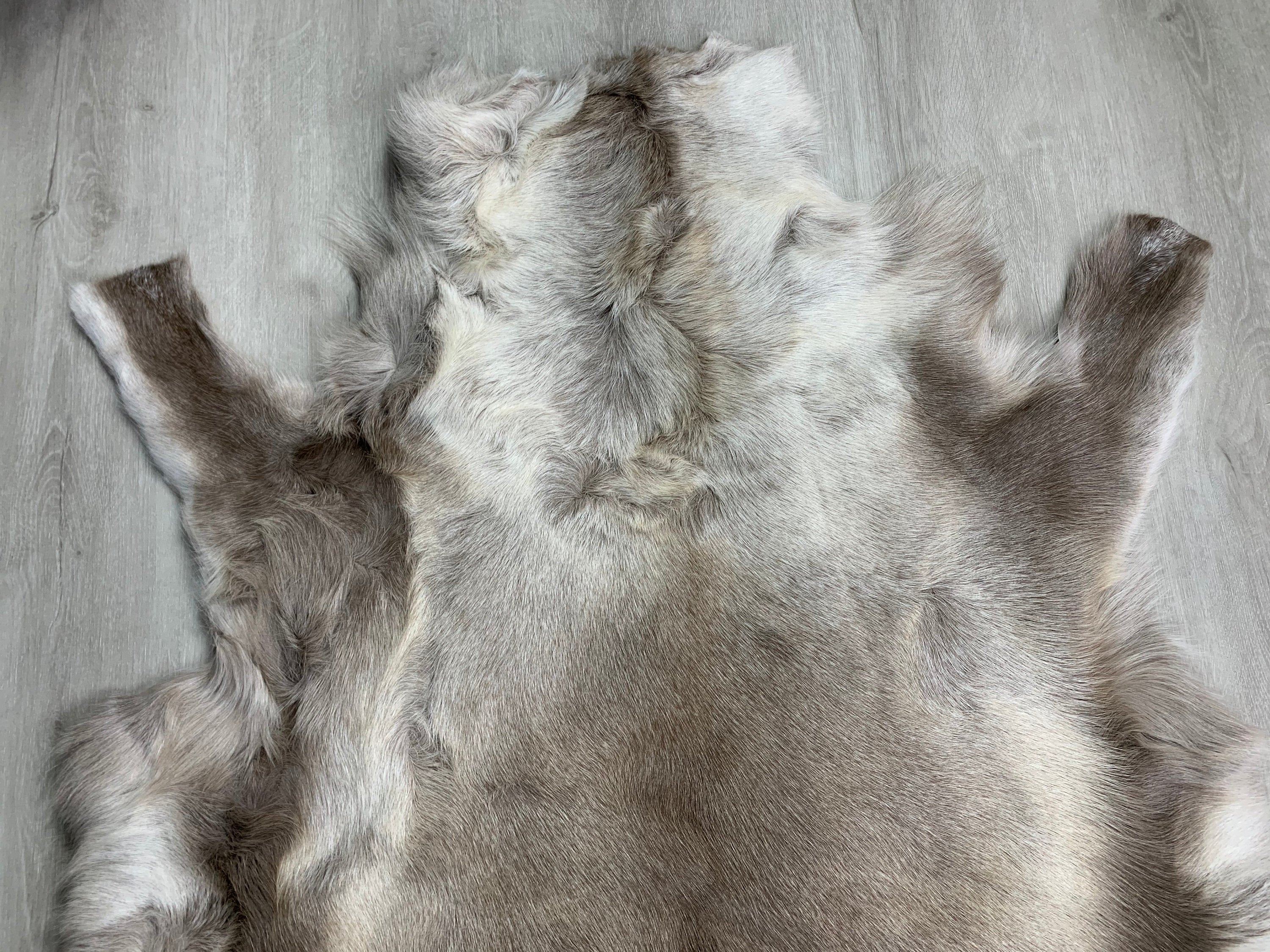 Genuine Scandinavian Reindeer Hide