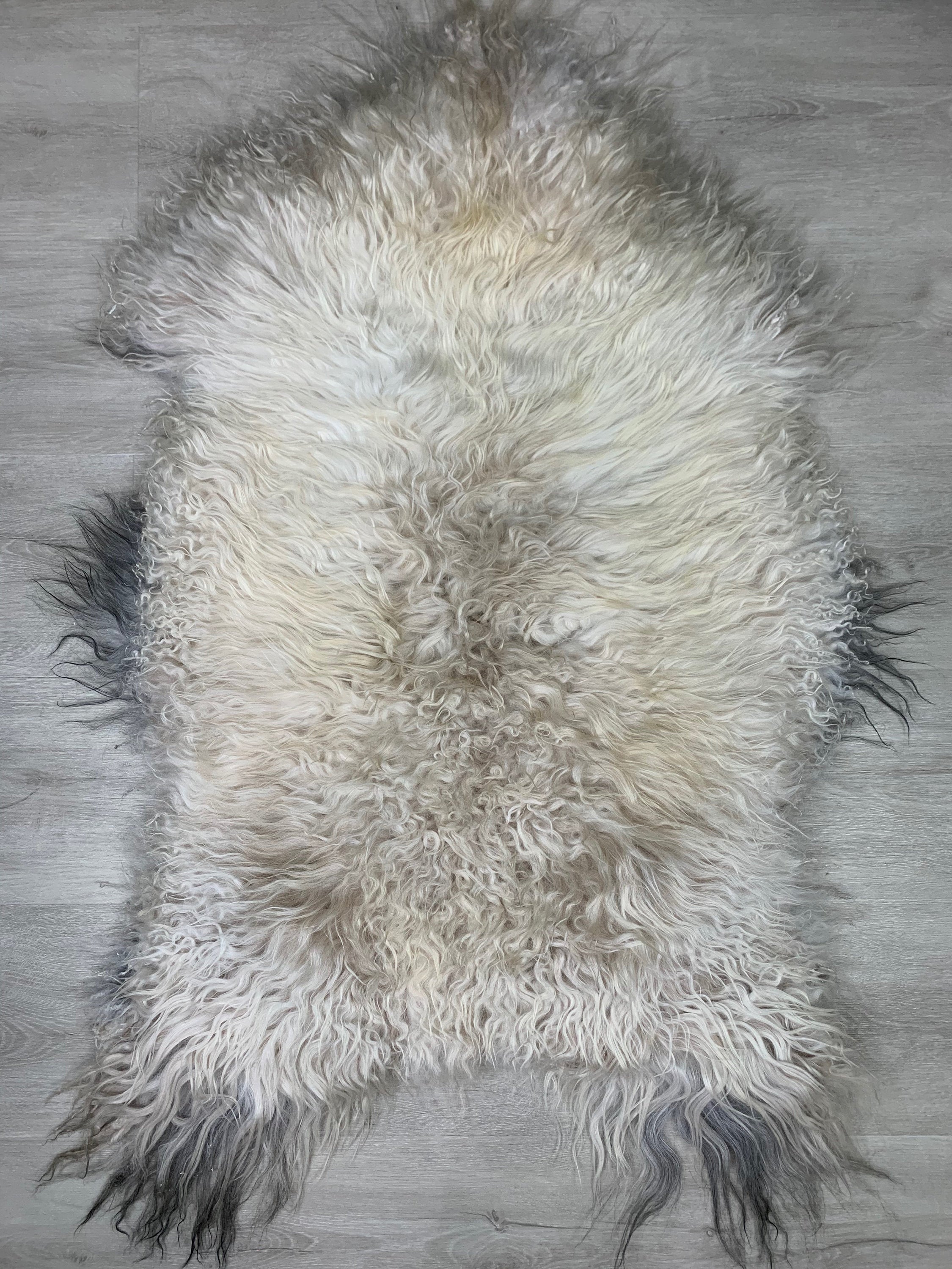 Curly Off White Brown Iceland Sheepskin Rug * Genuine Sheepskin Rug Fur Throw * Animal Hide Pelt * Sheepskin Seat Cover * Comfort Pet Bed