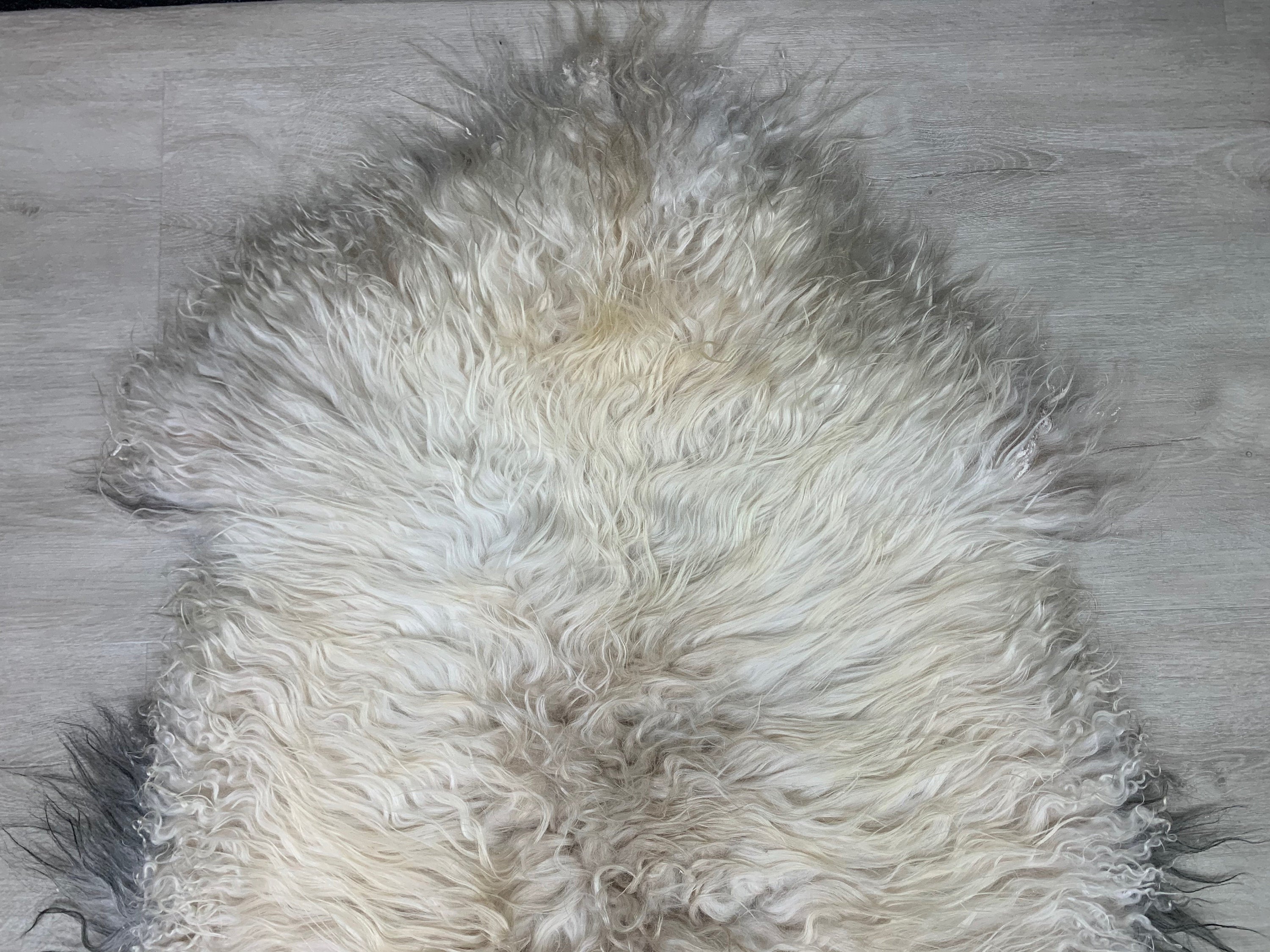 Curly Off White Brown Iceland Sheepskin Rug * Genuine Sheepskin Rug Fur Throw * Animal Hide Pelt * Sheepskin Seat Cover * Comfort Pet Bed