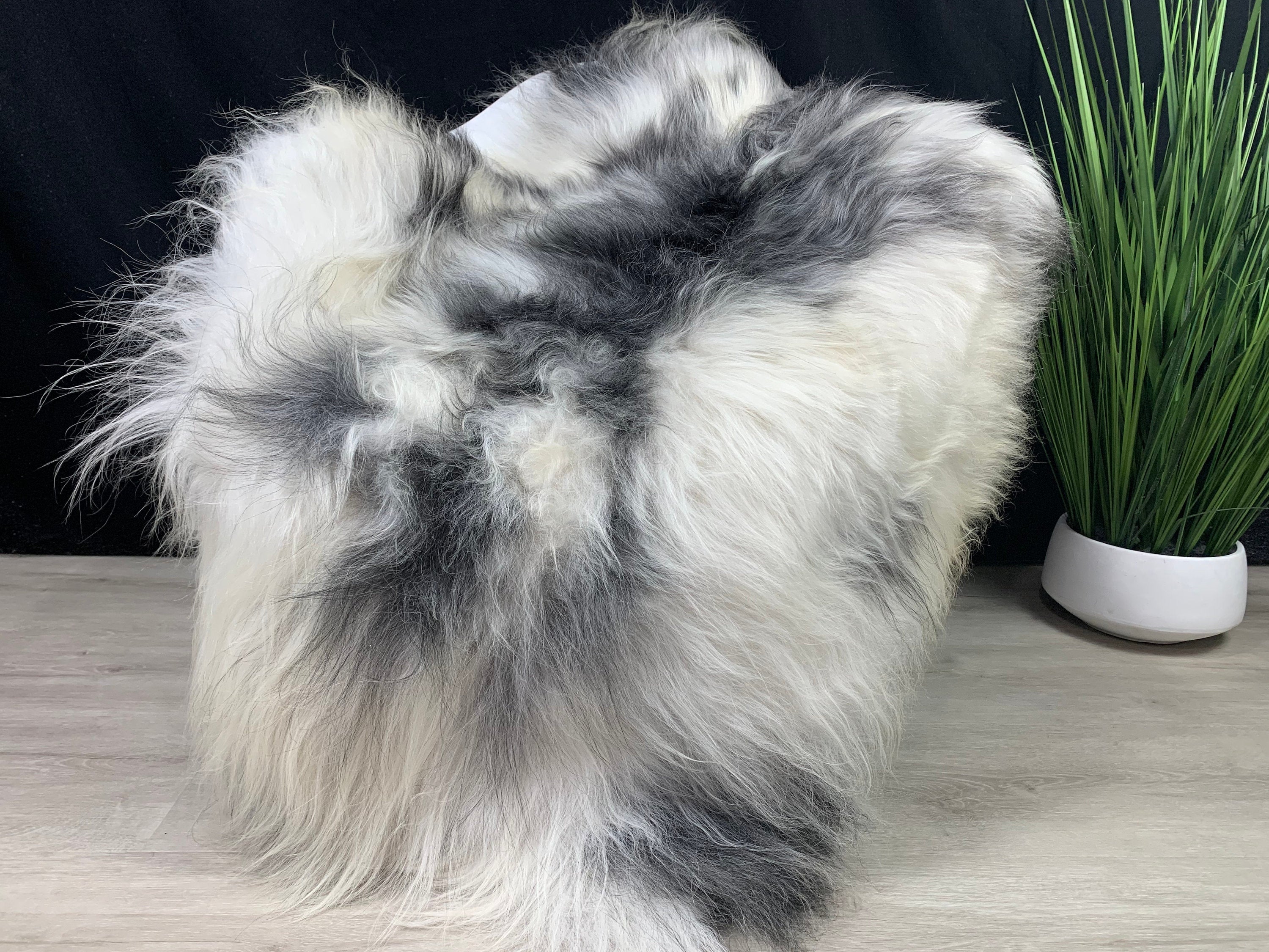 Huge Icelandic genuine sheepskin rug pelt Cream white gray color sheepskin pelt Sheep skin fur Pet Bed throw seat cover