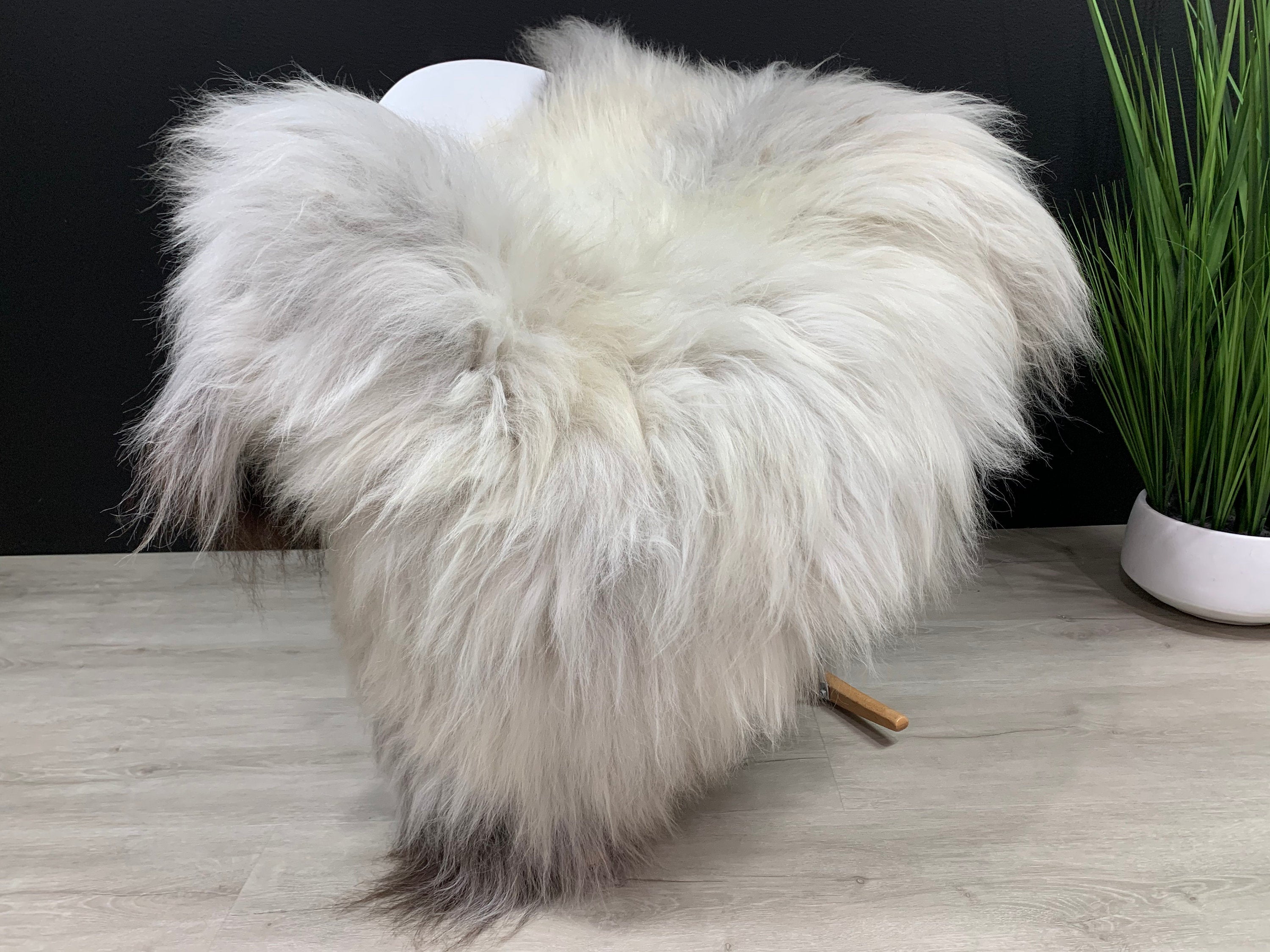 Huge Natural Cream White Gray Sheepskin Rug Pelt Genuine Leather Seat Cover Hide