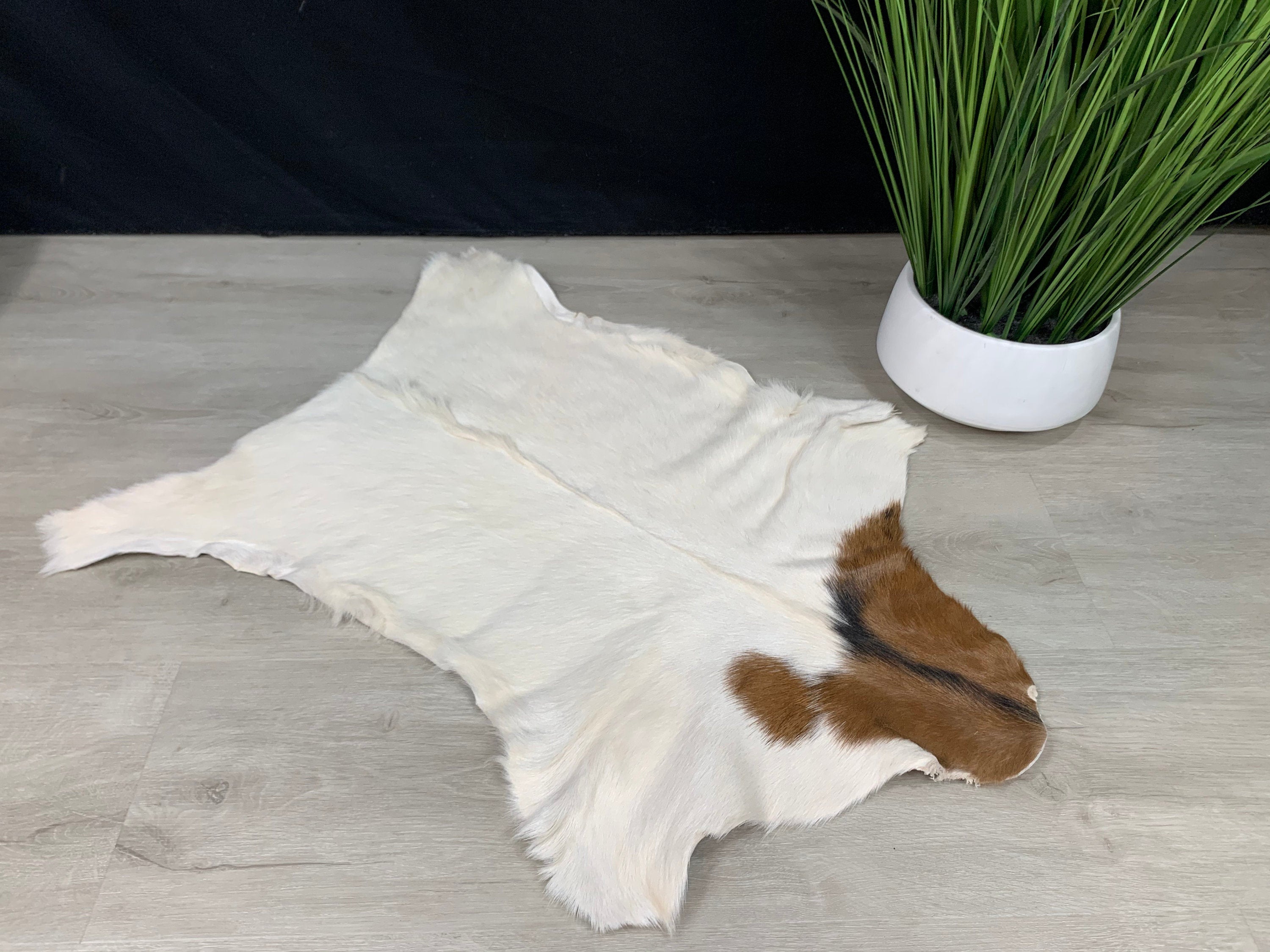 Goat White Brown Rug Pelt Hide, Real Goat Skin Rug, Genuine Natural Goat Hide