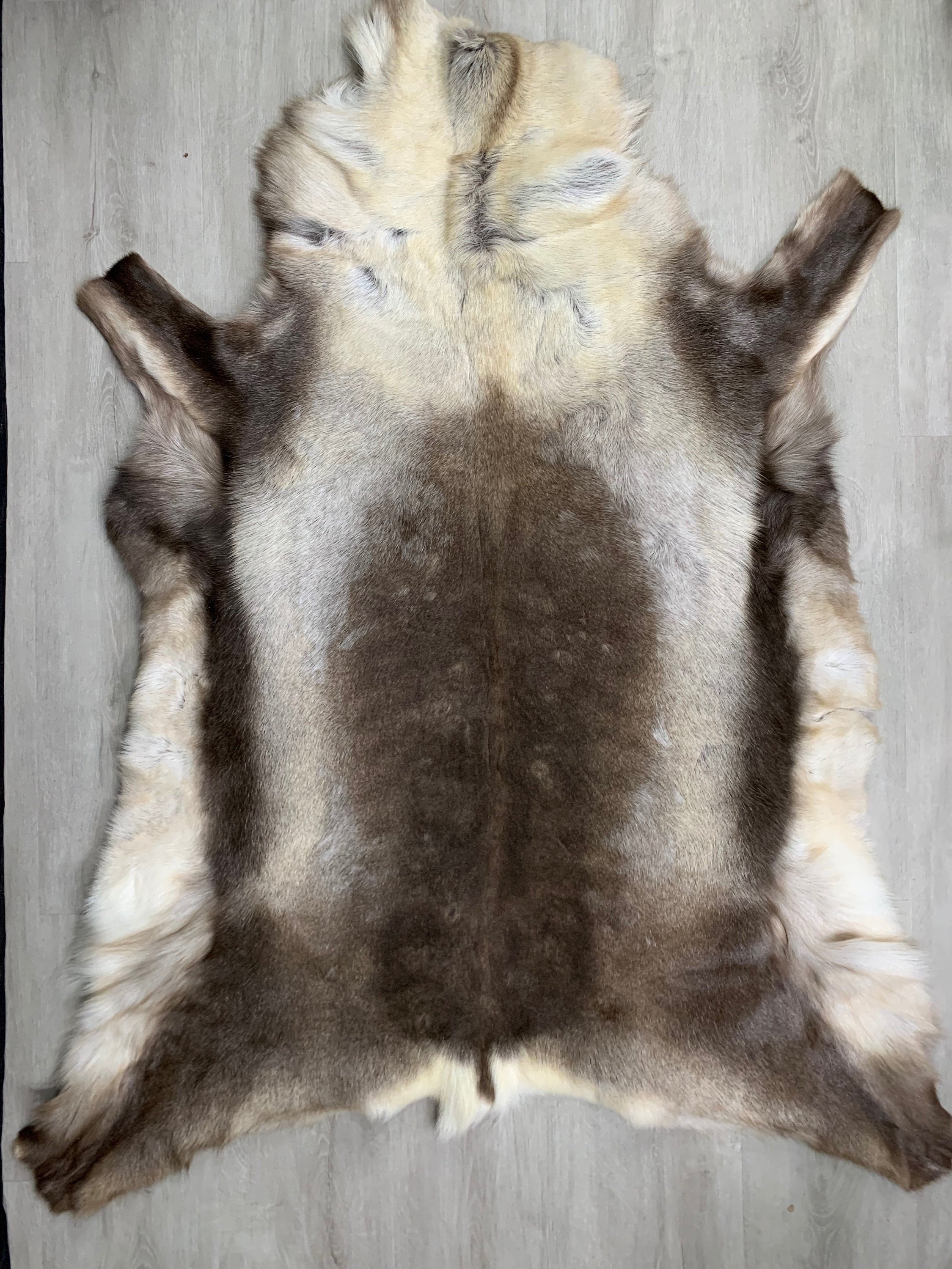 XXL GENUINE Scandinavian Reindeer Hide * Exclusive Reindeer skin rug hide pelt throw 56