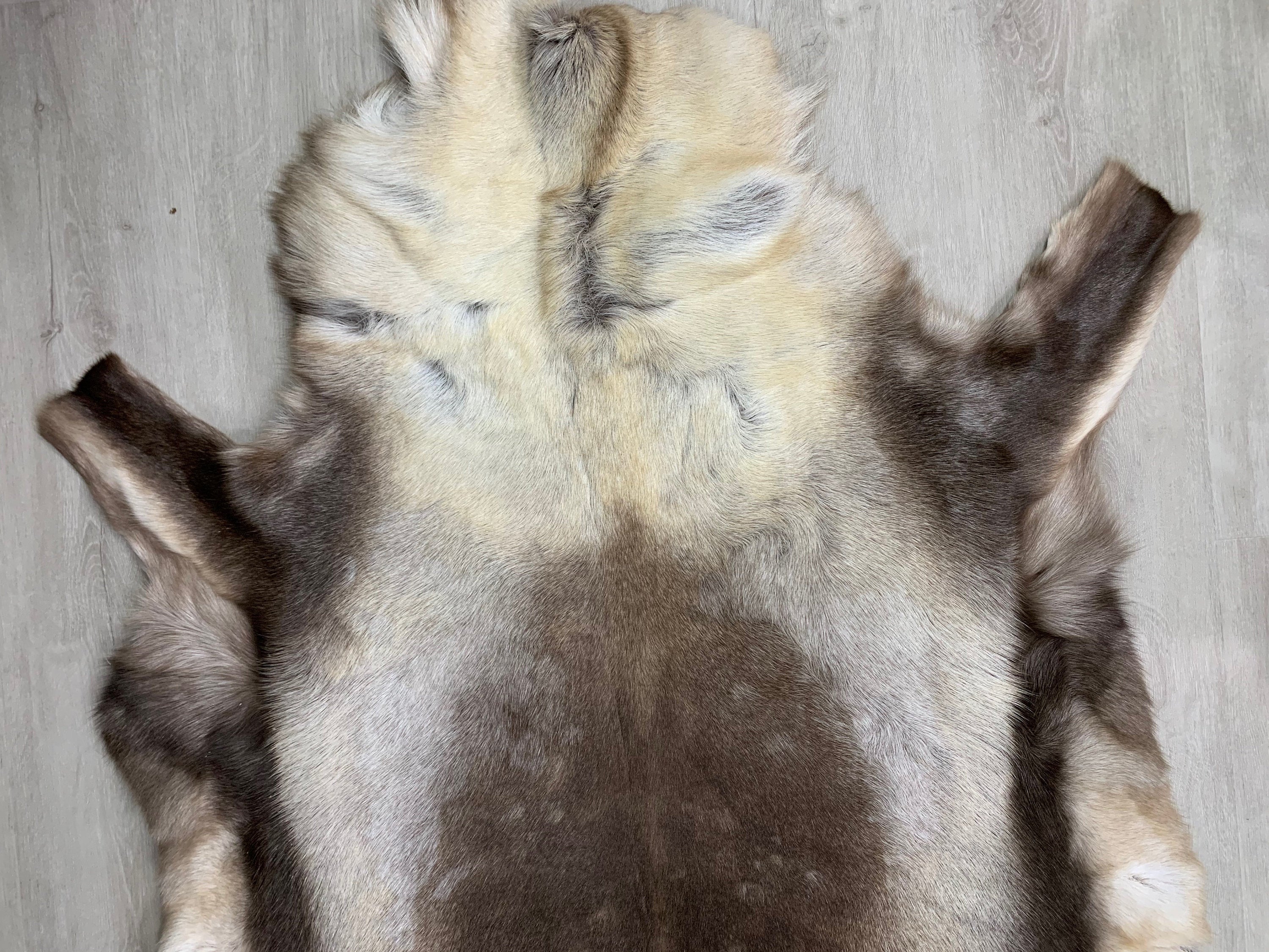 XXL GENUINE Scandinavian Reindeer Hide * Exclusive Reindeer skin rug hide pelt throw 56