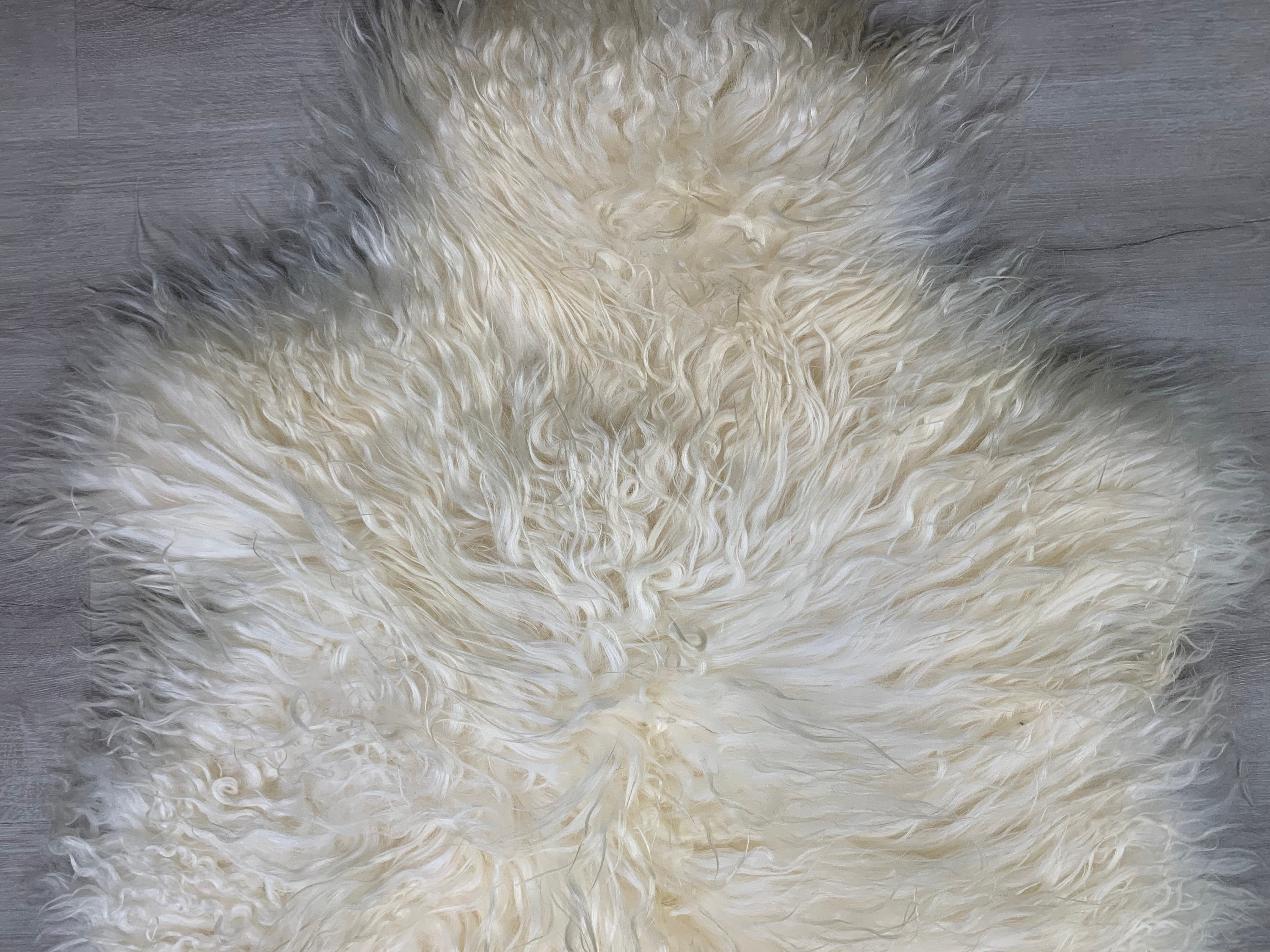 Curly White Iceland Sheepskin Rug  * Genuine Sheepskin Rug Fur Throw * Natural Animal Hide Pelt * Sheepskin Seat Cover