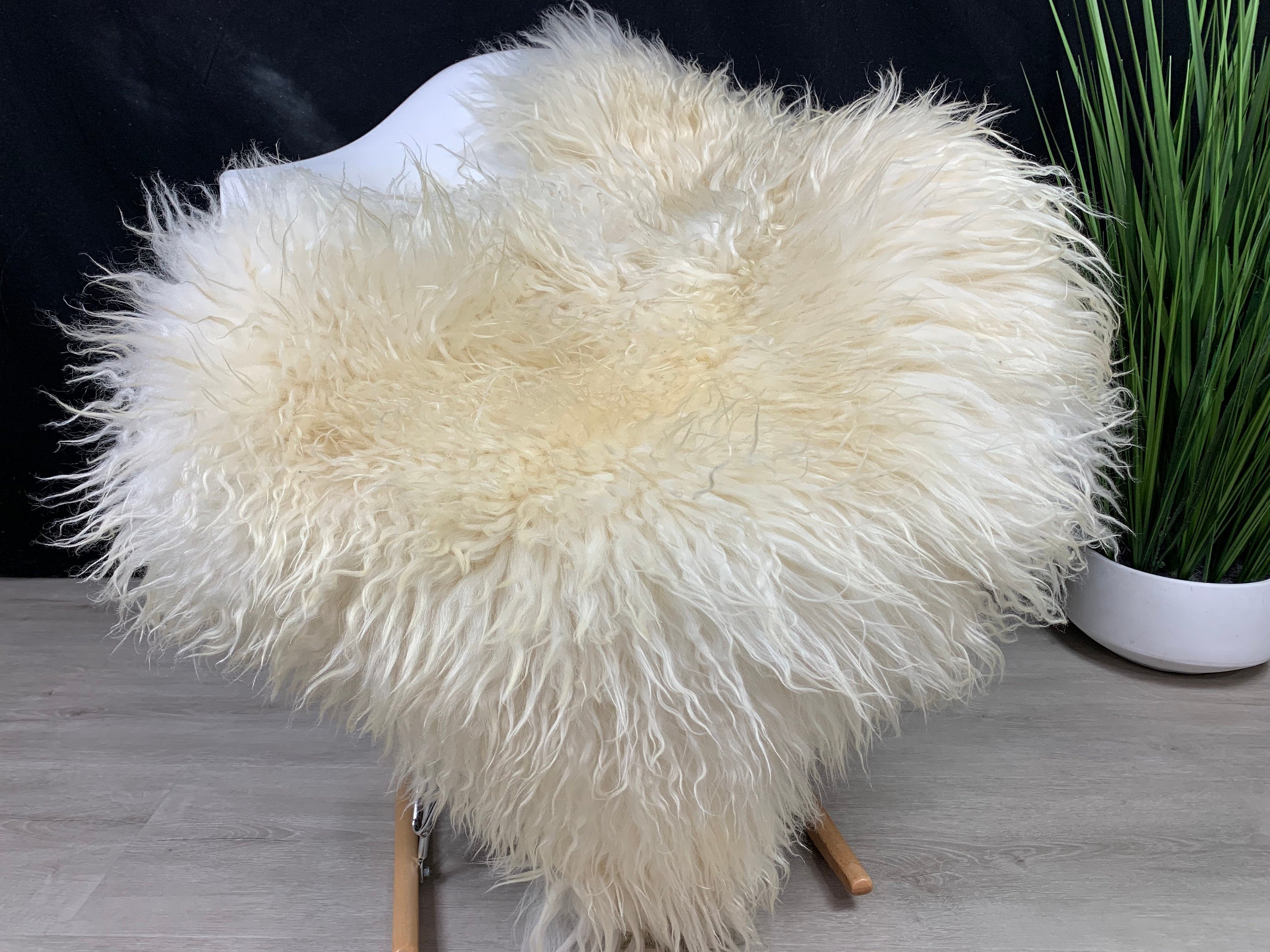 Curly White Iceland Sheepskin Rug  * Genuine Sheepskin Rug Fur Throw * Natural Animal Hide Pelt * Sheepskin Seat Cover