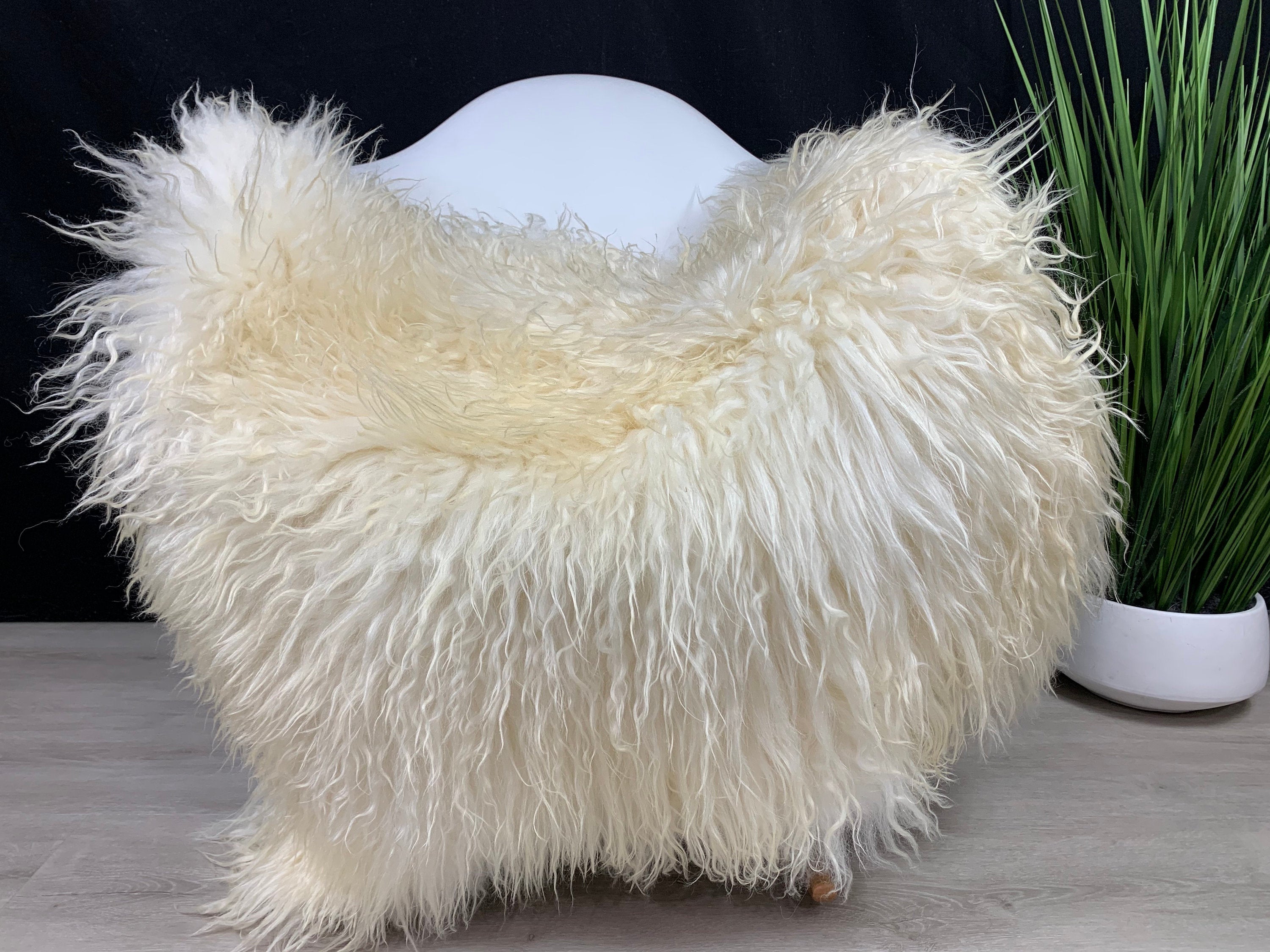 Curly White Iceland Sheepskin Rug  * Genuine Sheepskin Rug Fur Throw * Natural Animal Hide Pelt * Sheepskin Seat Cover