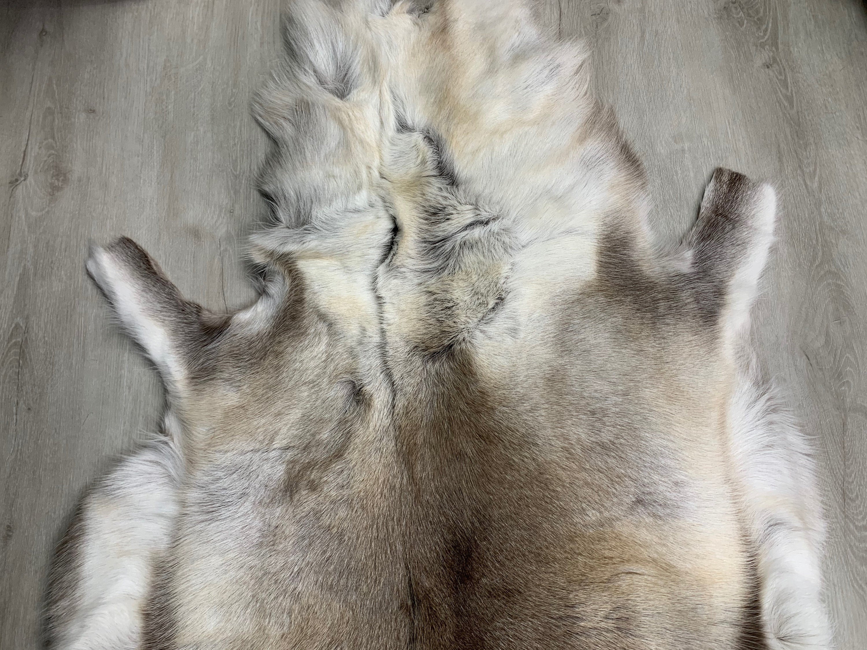 XXL GENUINE Scandinavian Reindeer Hide * Exclusive Reindeer skin rug hide pelt throw 55