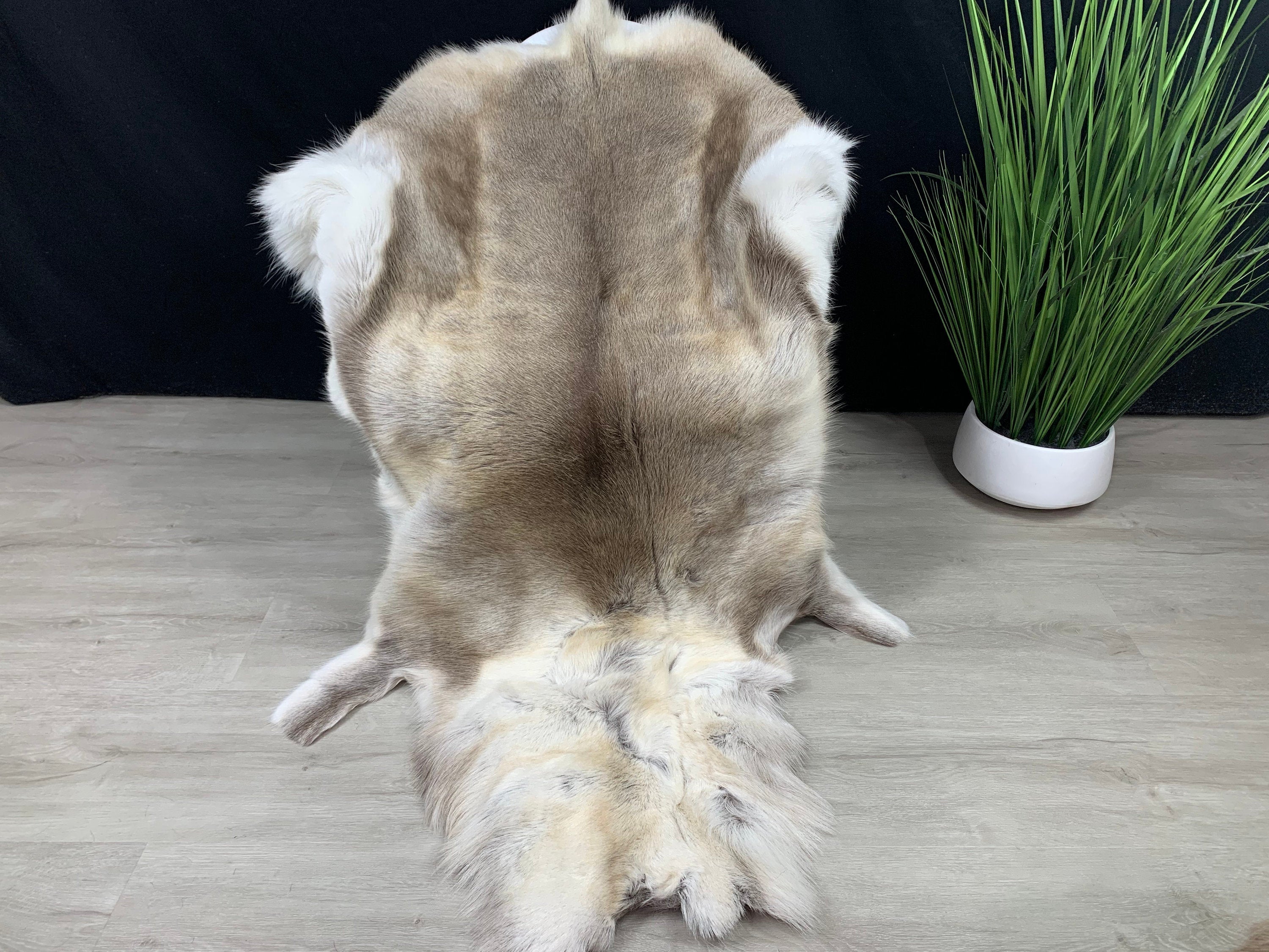 XXL GENUINE Scandinavian Reindeer Hide * Exclusive Reindeer skin rug hide pelt throw 55