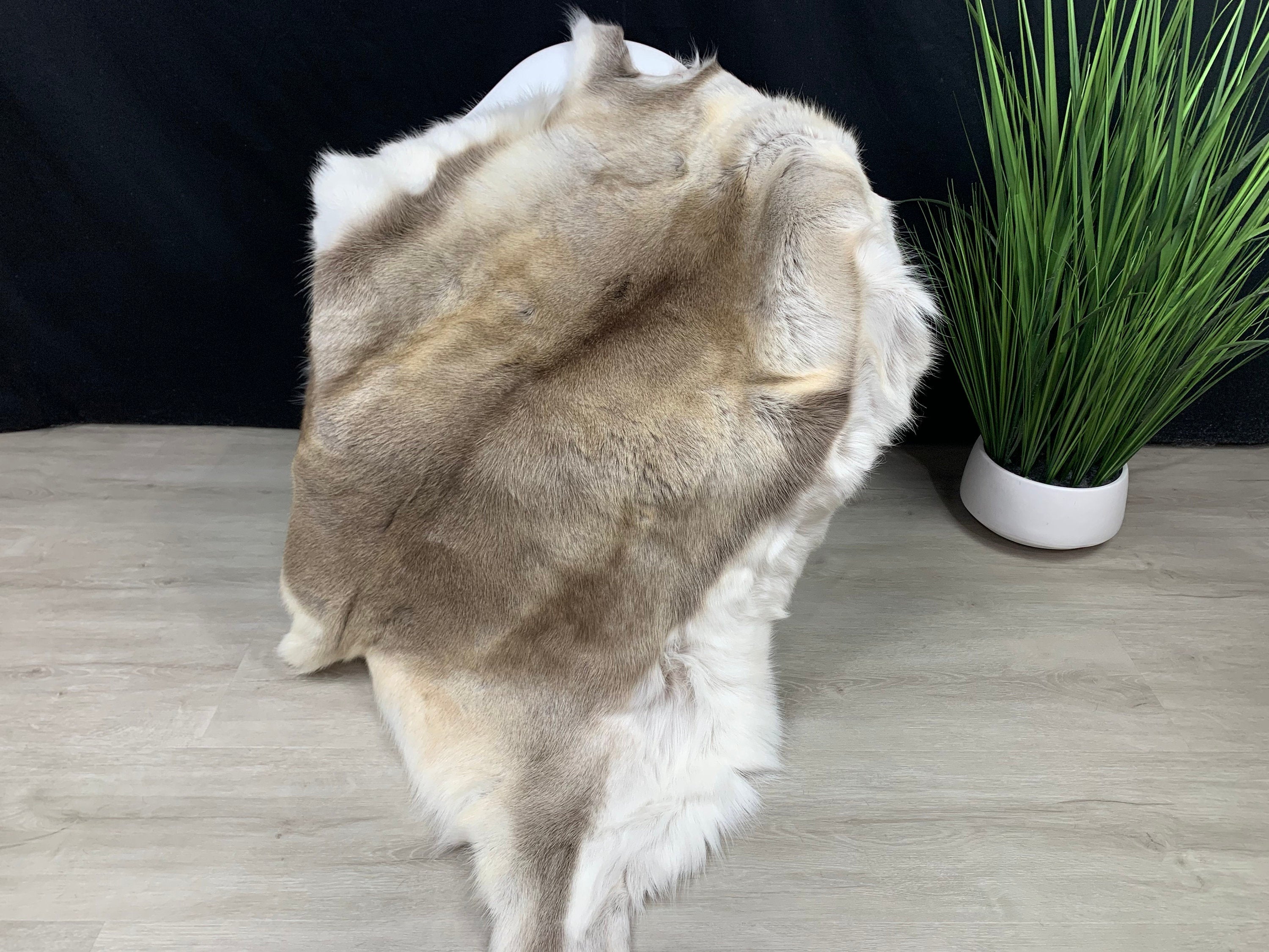 XXL GENUINE Scandinavian Reindeer Hide * Exclusive Reindeer skin rug hide pelt throw 55