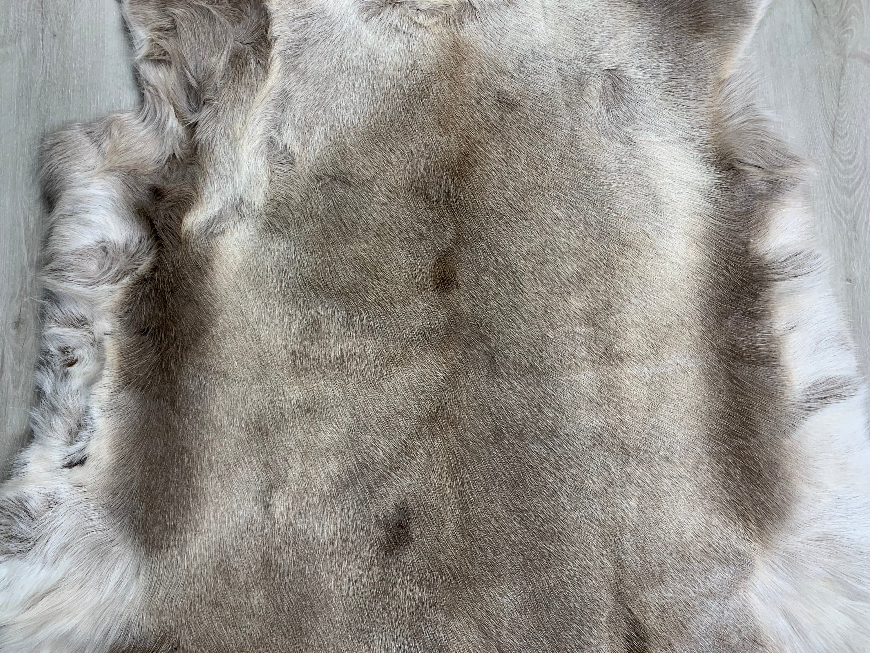 Genuine Scandinavian Reindeer Hide