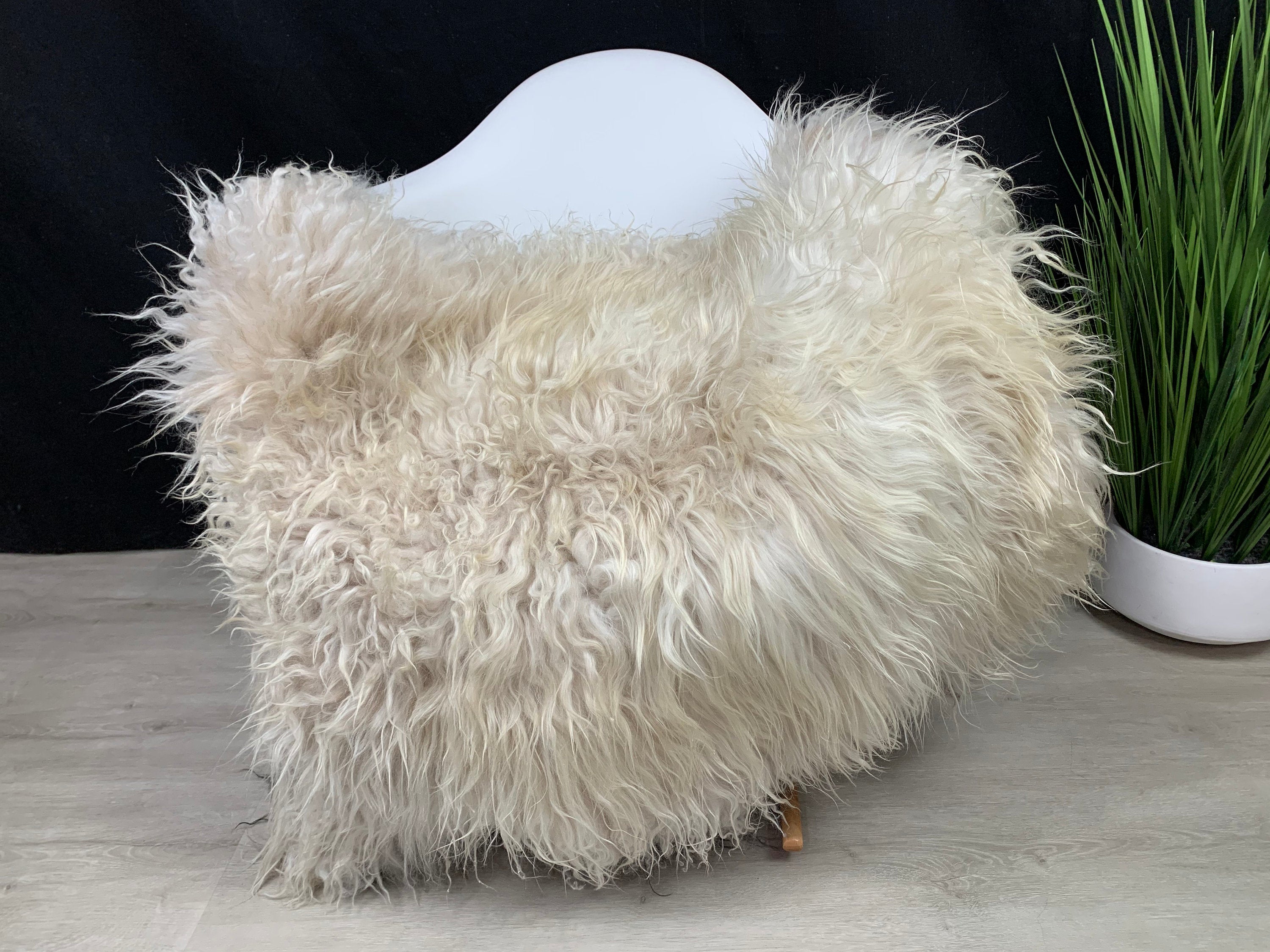 Curly Off White Brown Iceland Sheepskin Rug * Genuine Sheepskin Rug Fur Throw * Animal Hide Pelt * Sheepskin Seat Cover * Comfort Pet Bed