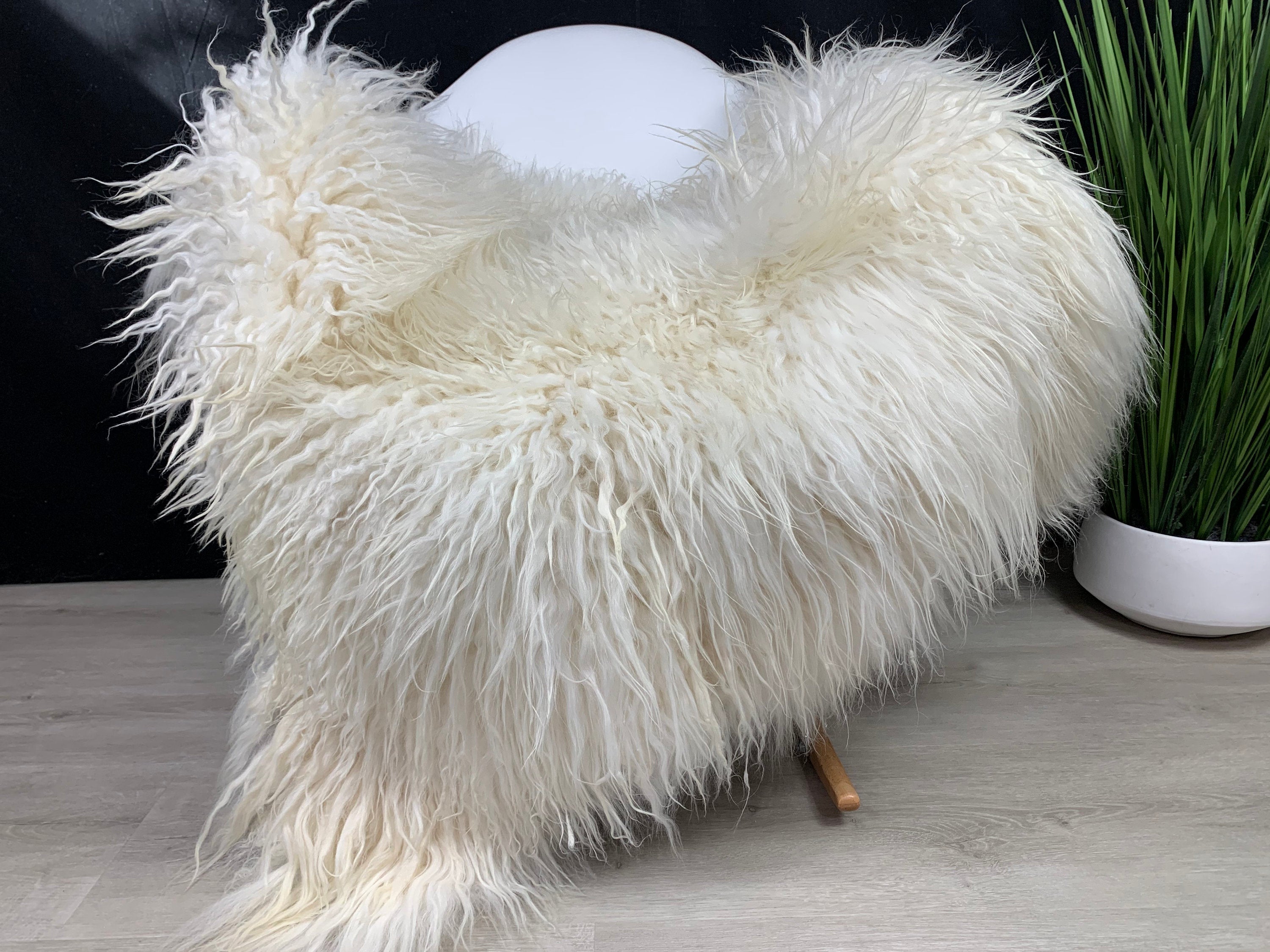 Curly White Iceland Sheepskin Rug * Genuine Sheepskin Rug Fur Throw * Natural Animal Hide Pelt * Sheepskin Seat Cover Pet Bed Throw