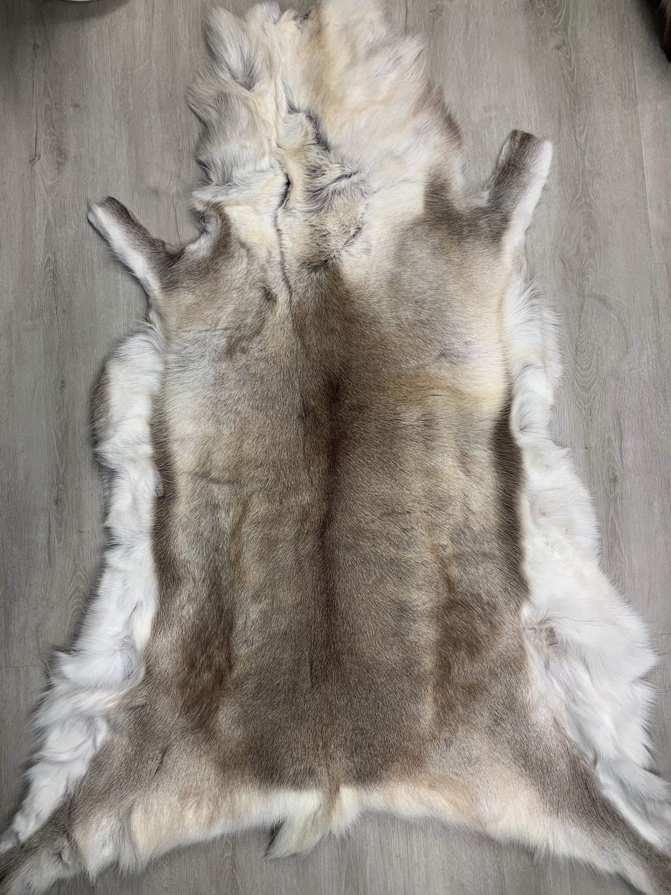 XXL GENUINE Scandinavian Reindeer Hide * Exclusive Reindeer skin rug hide pelt throw 55