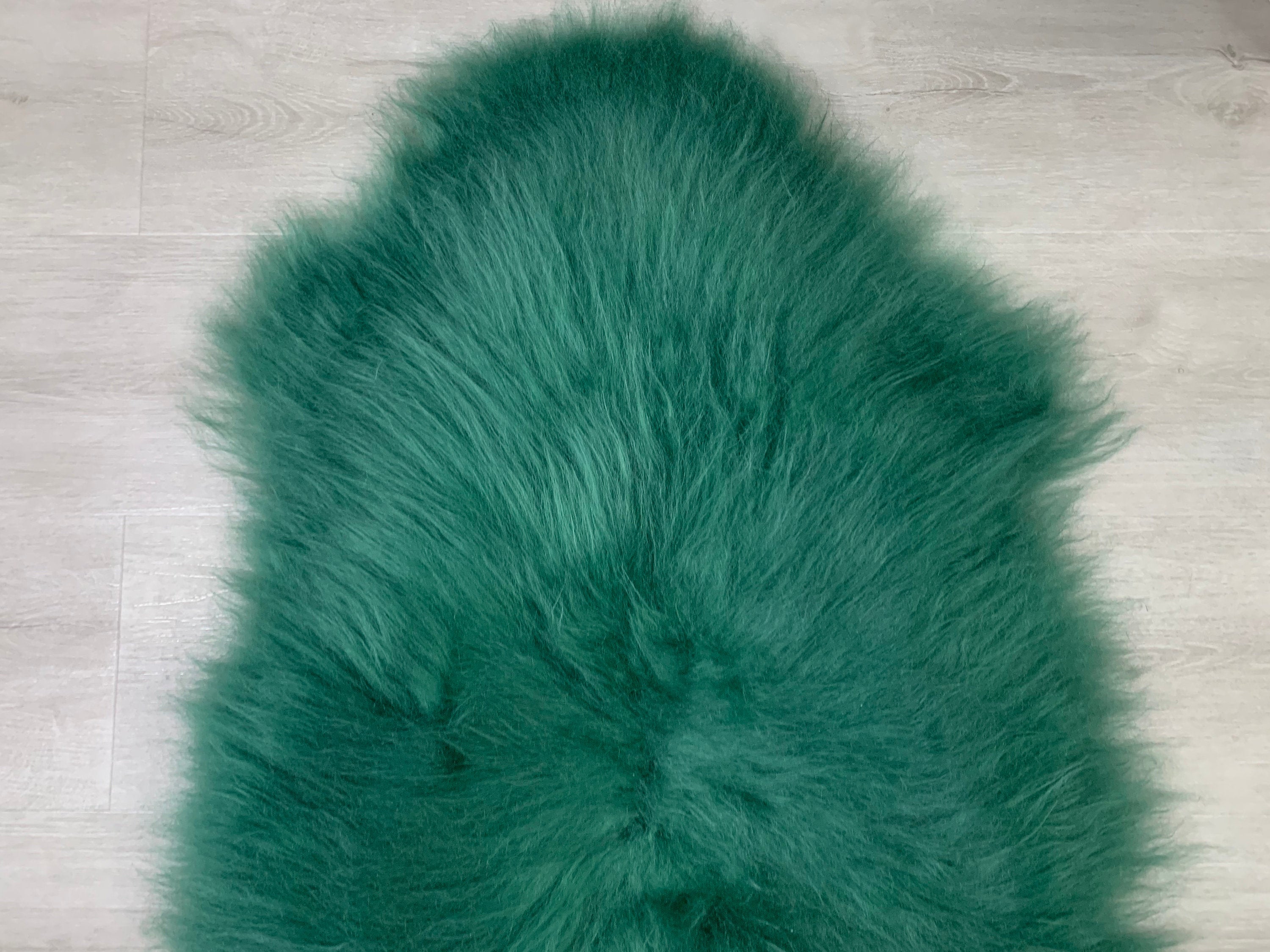 Icelandic Sheepskin Green Rug Pelt / Real Sheepskin / Green Sheepskin Rug