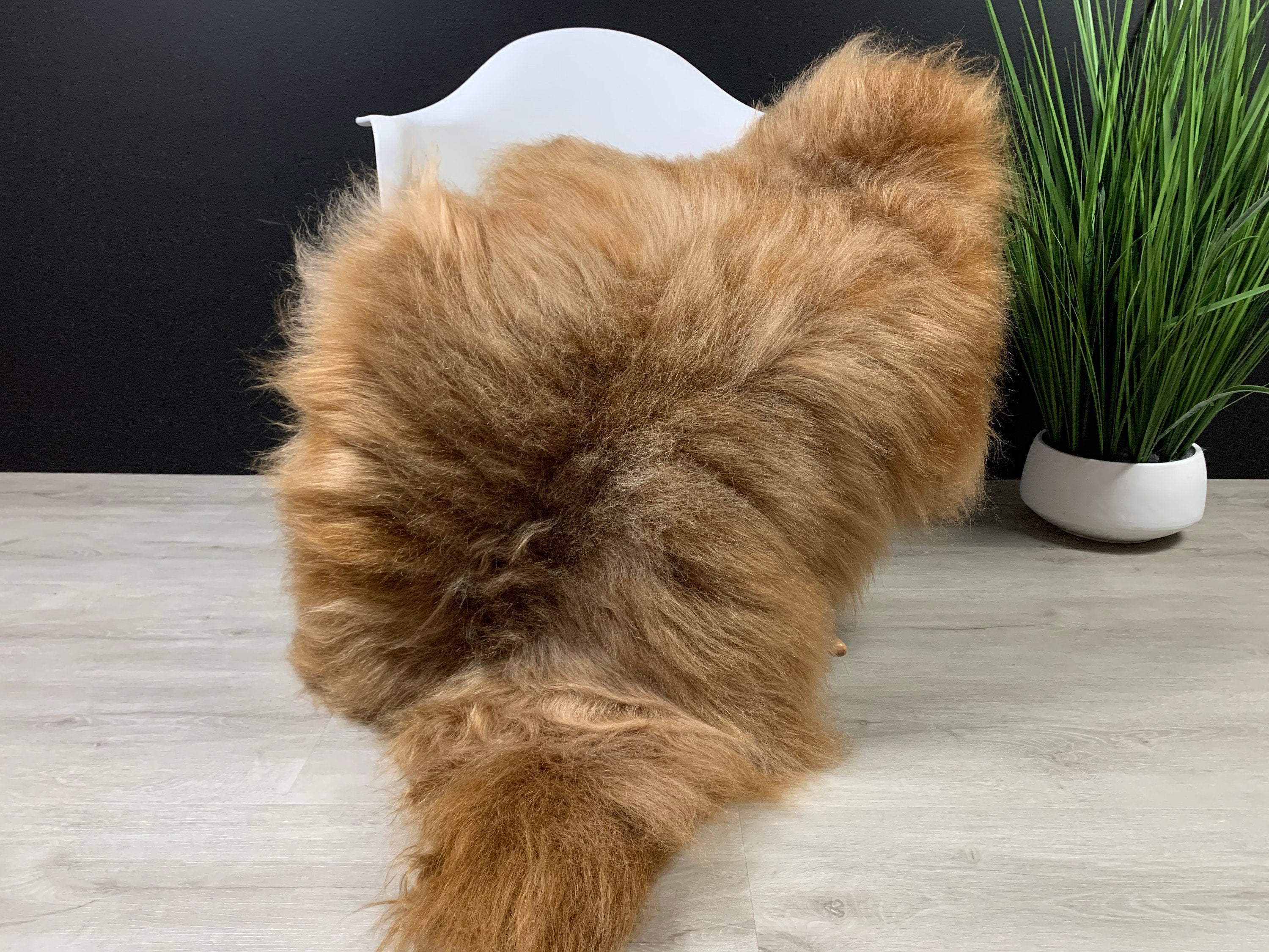 Icelandic Sheepskin Ore Rug Pelt / Genuine Natural Sheepskin / Sheepskin Pet Bed / Sheepskin Seat Cover